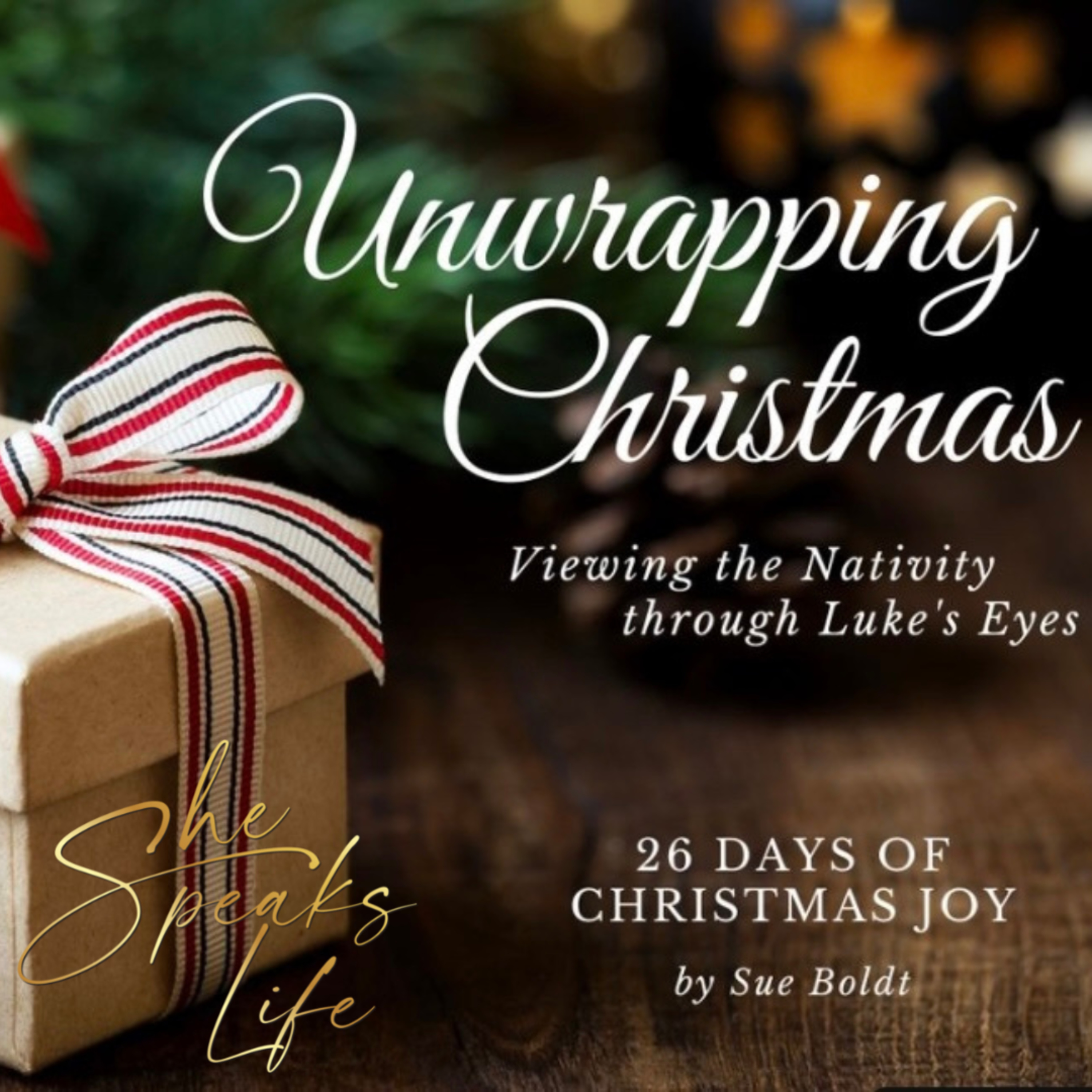 Day Fourteen: 5 Minute Christmas Advent Devotional "Unwrapping Christmas" episode artwork