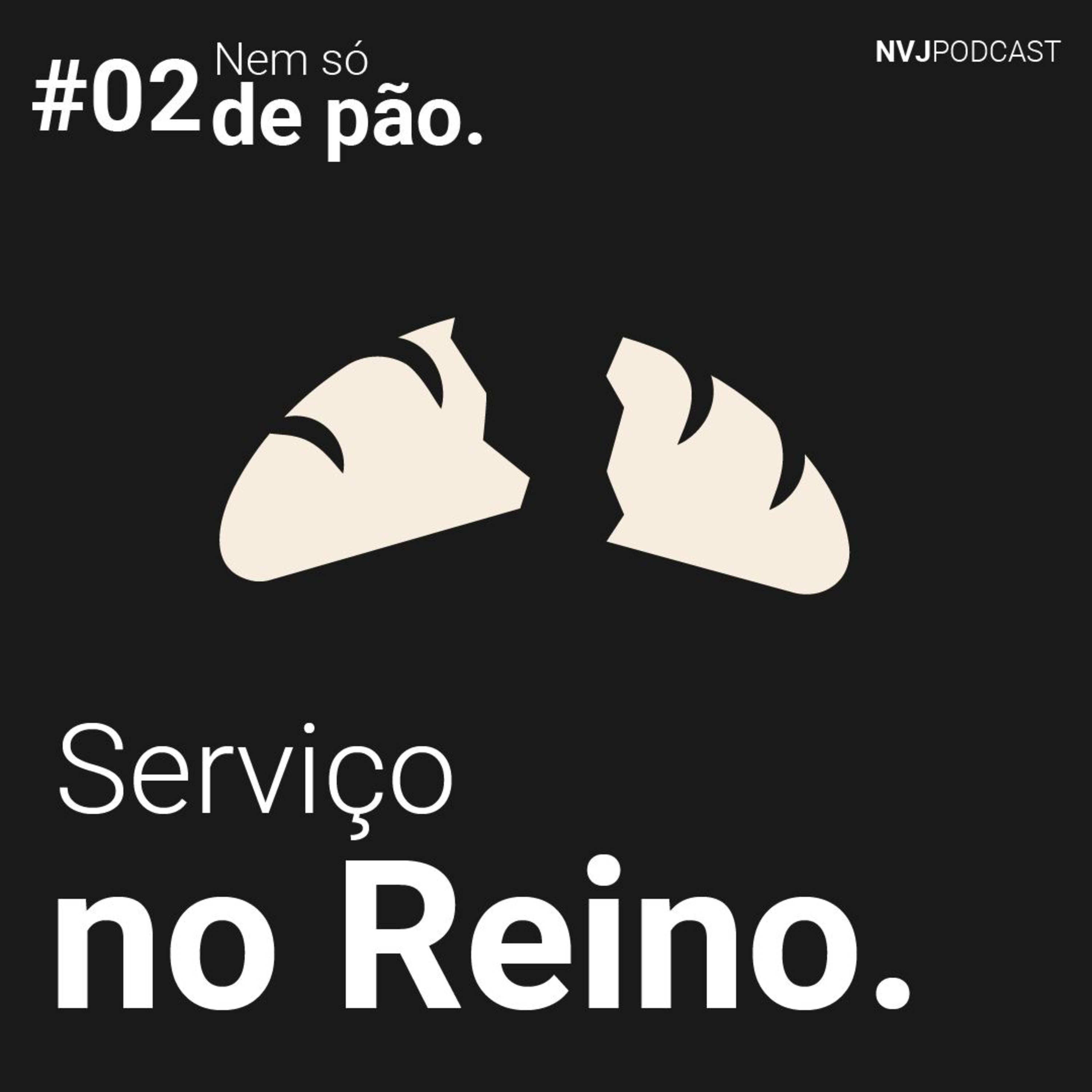 #02 - Serviço no Reino episode artwork