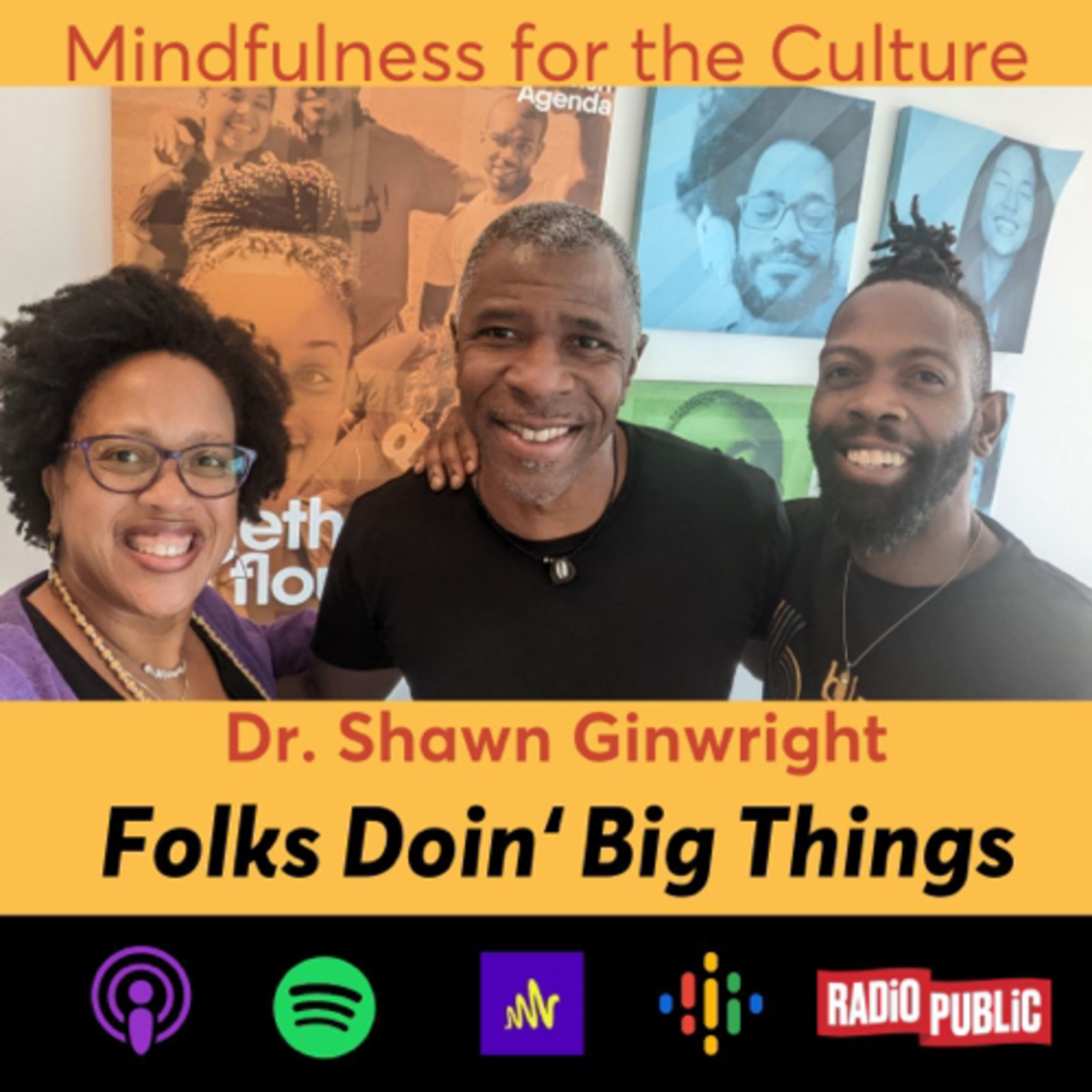 Folks Doin Big Things with Dr. Shawn Ginwright episode artwork