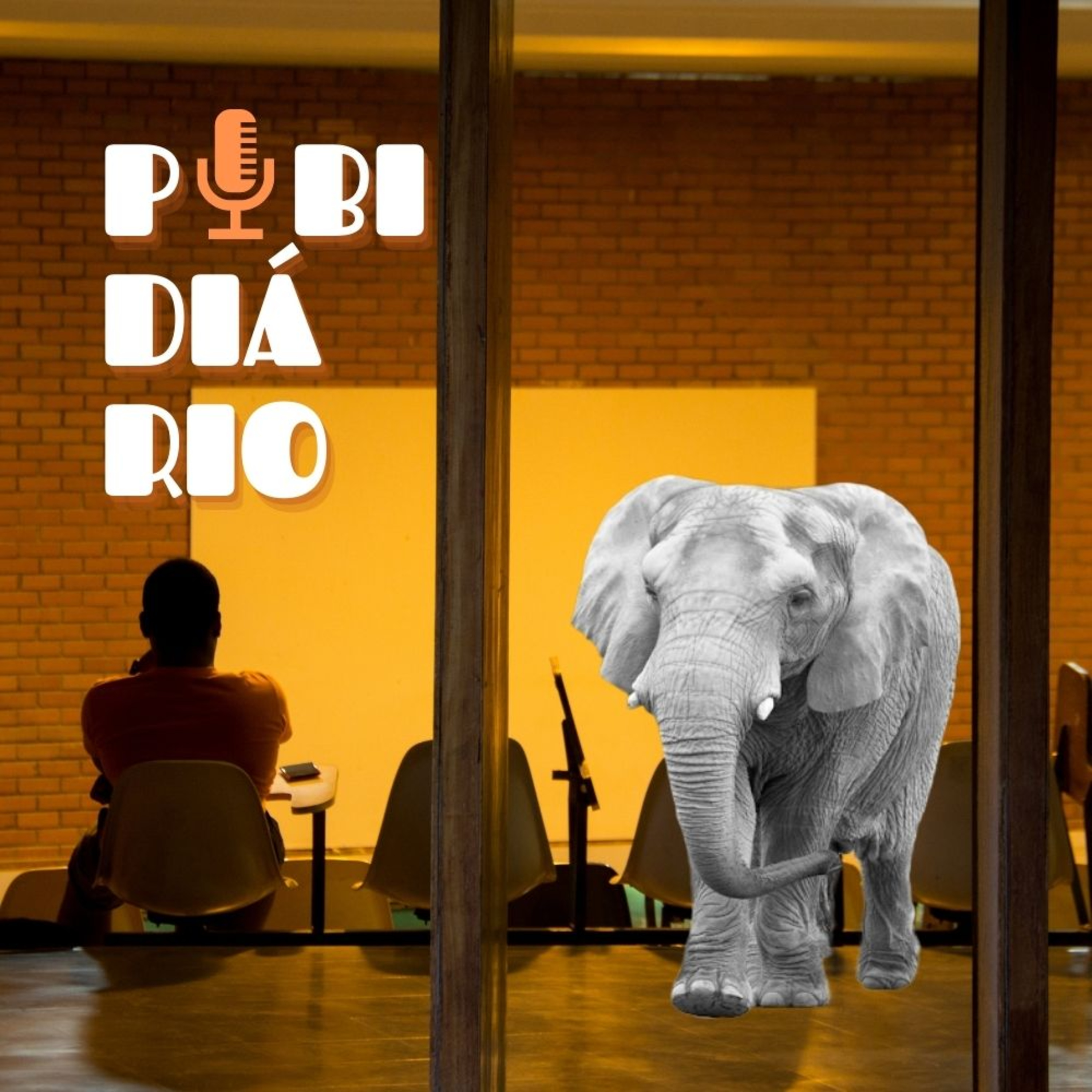 Pibidiário