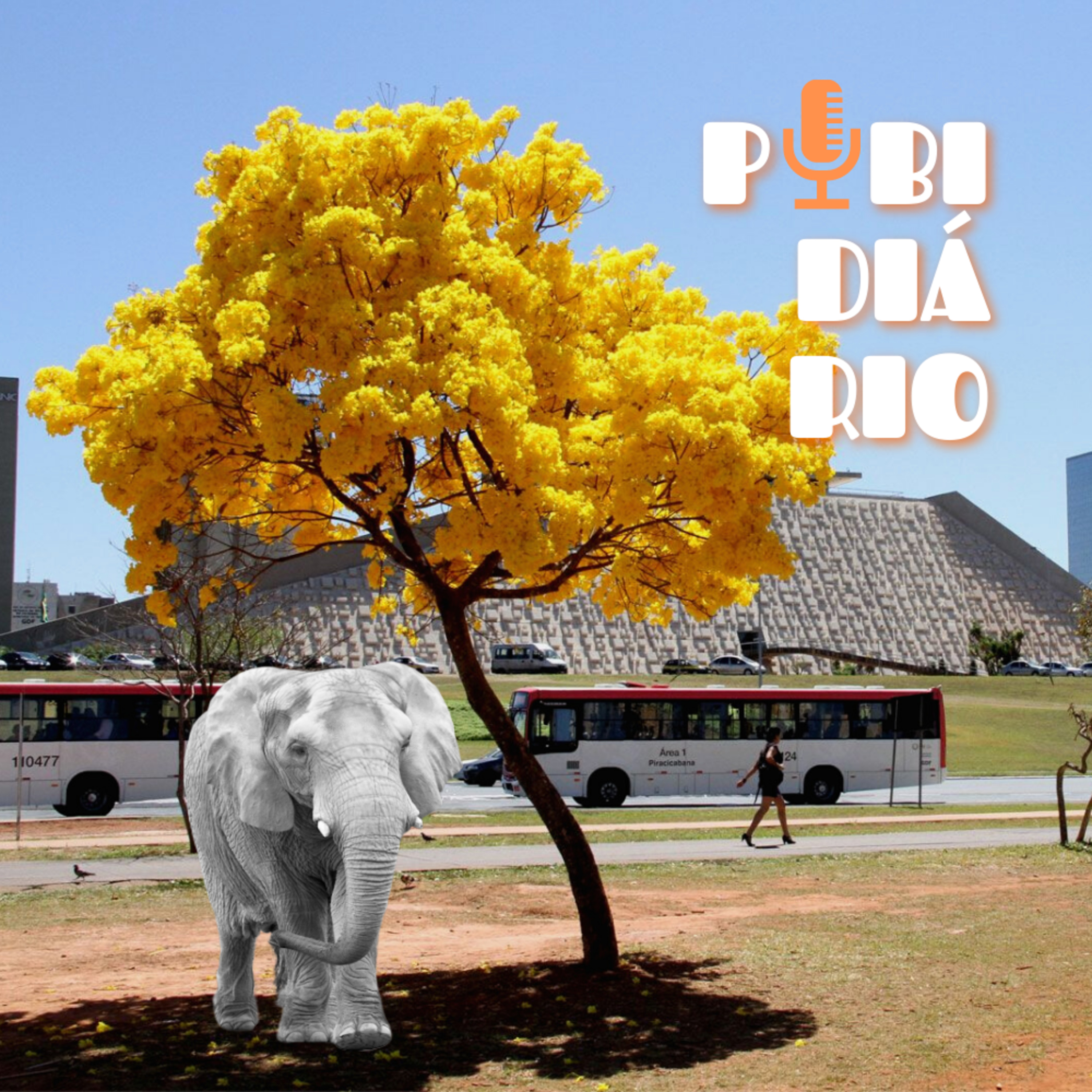 Pibidiário