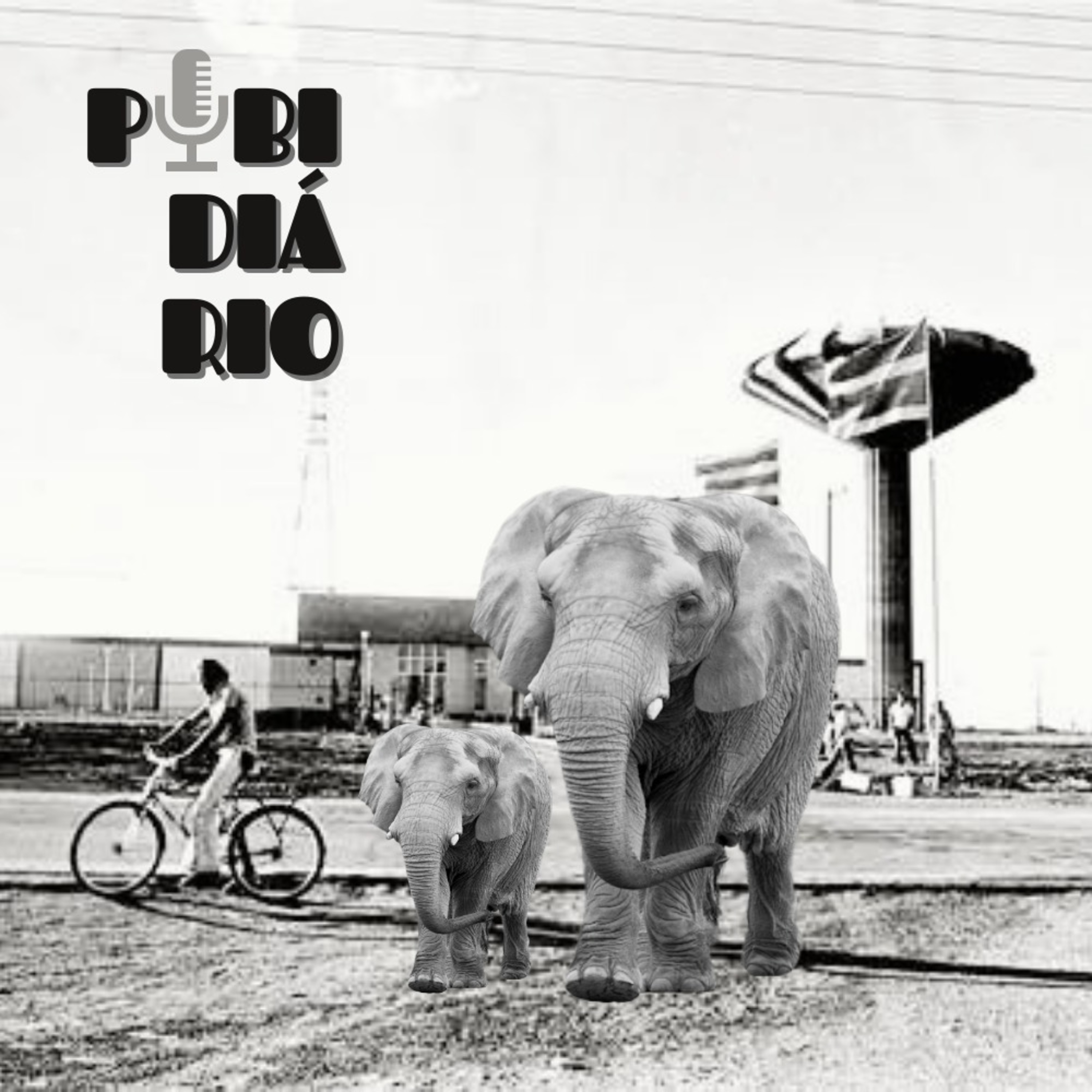Pibidiário