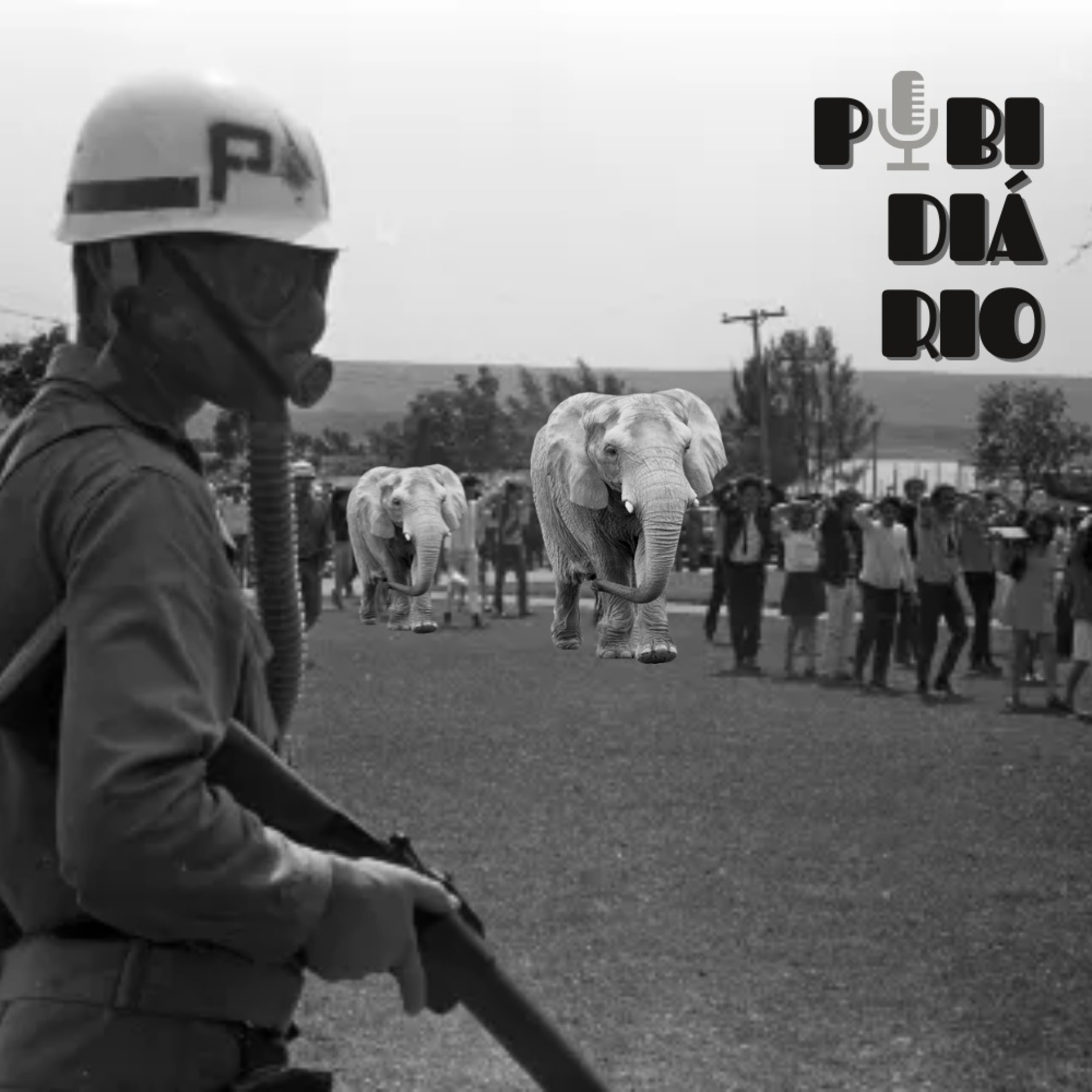 Pibidiário