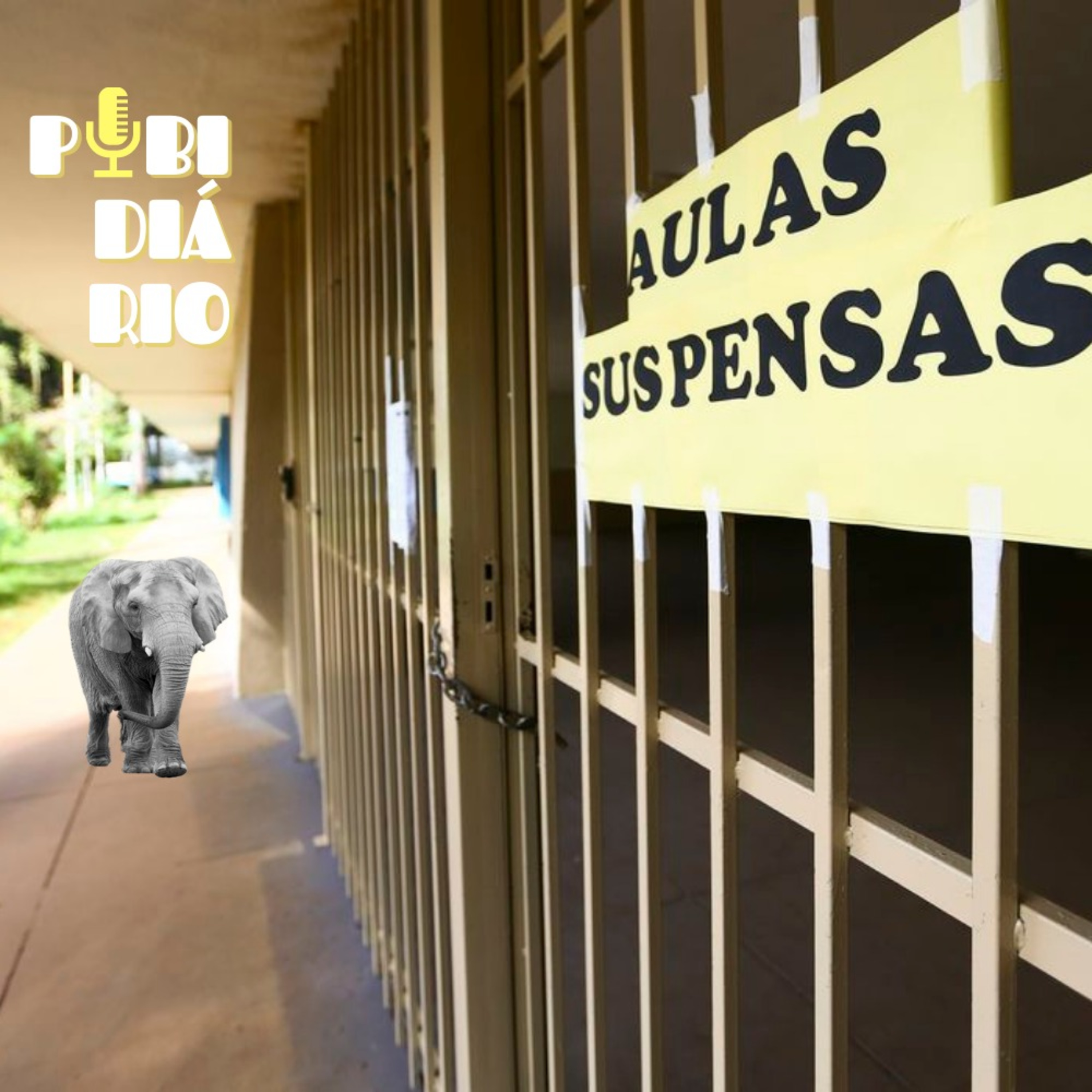 Pibidiário