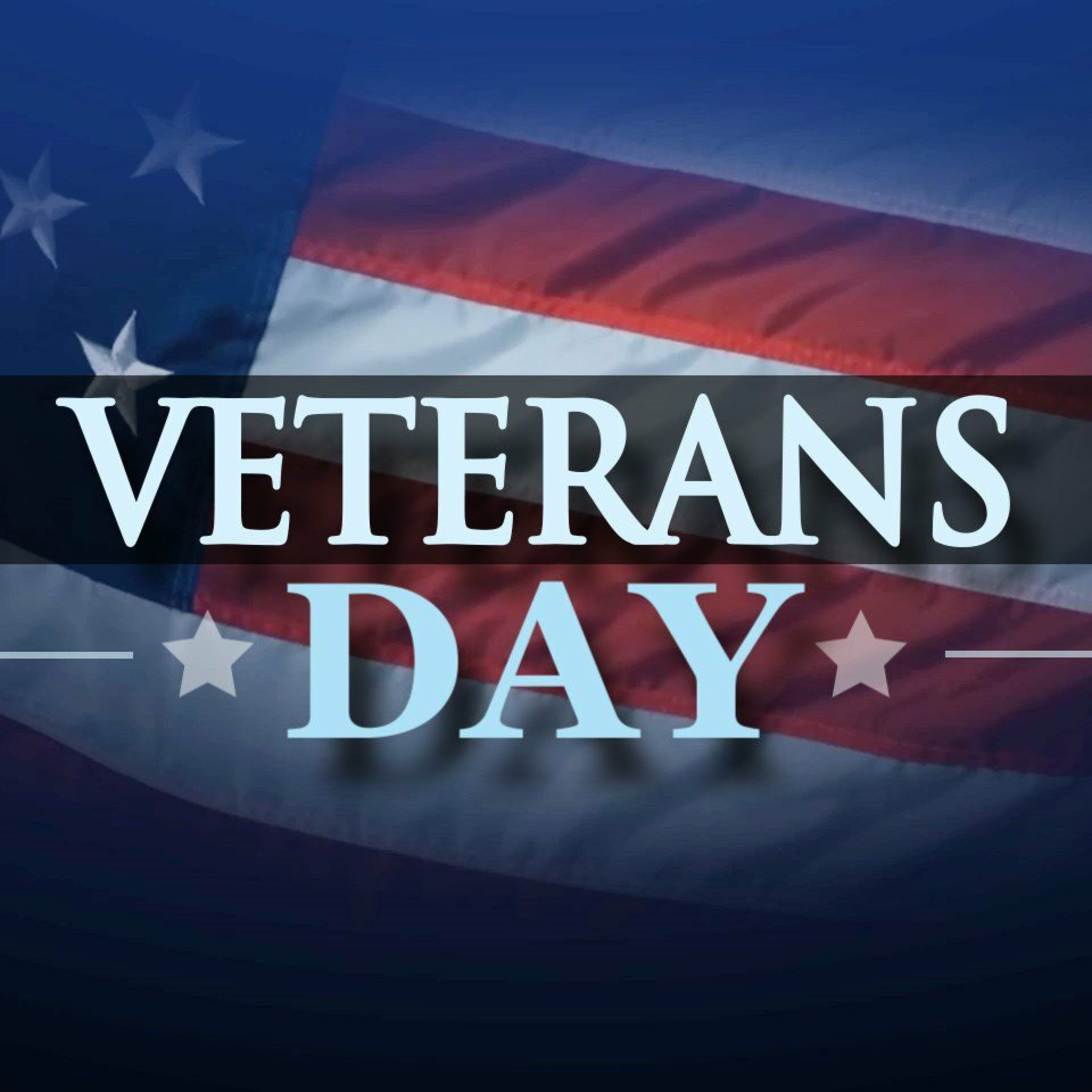 Veterans Day episode artwork