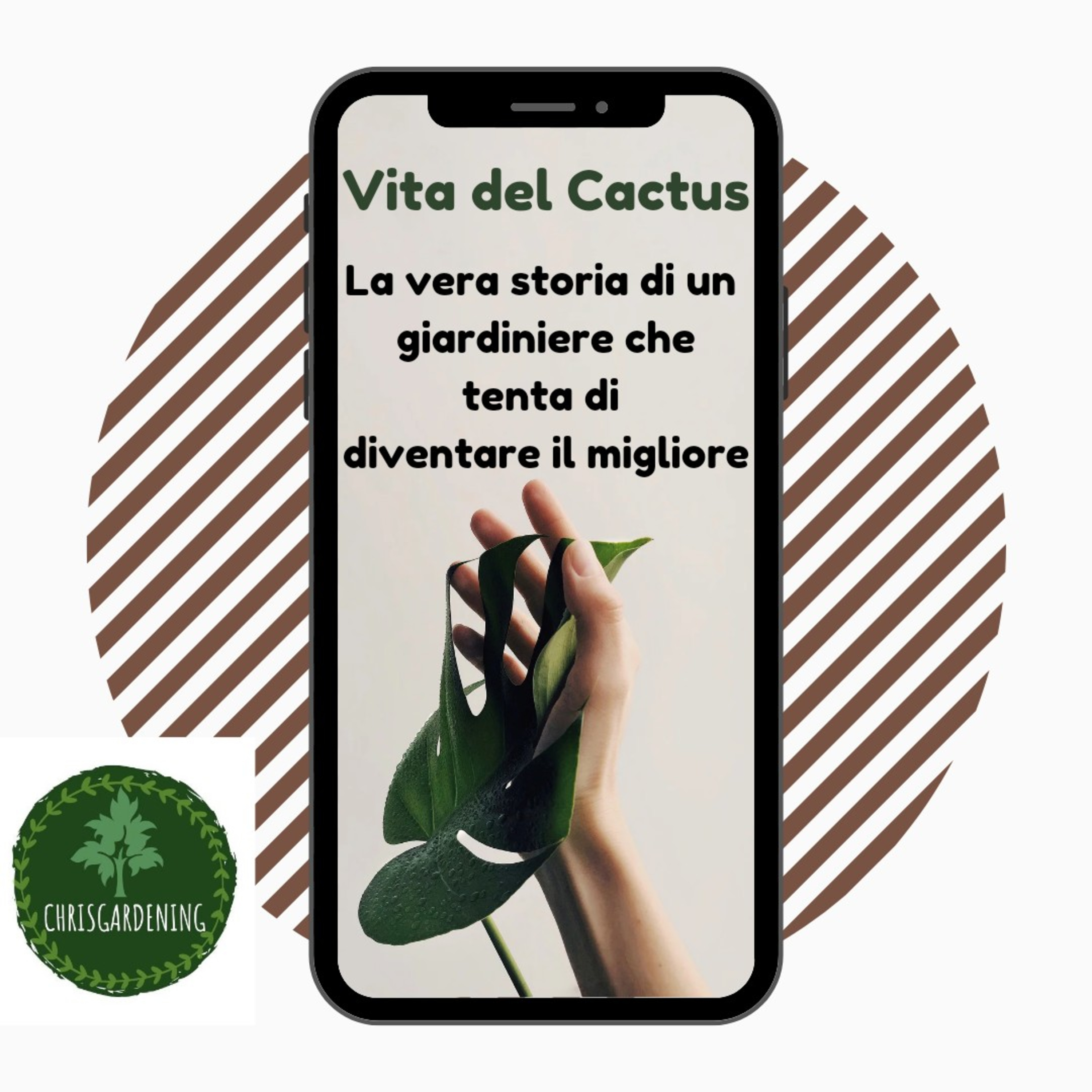 Vita del Cactus (Speciale Architect at work)