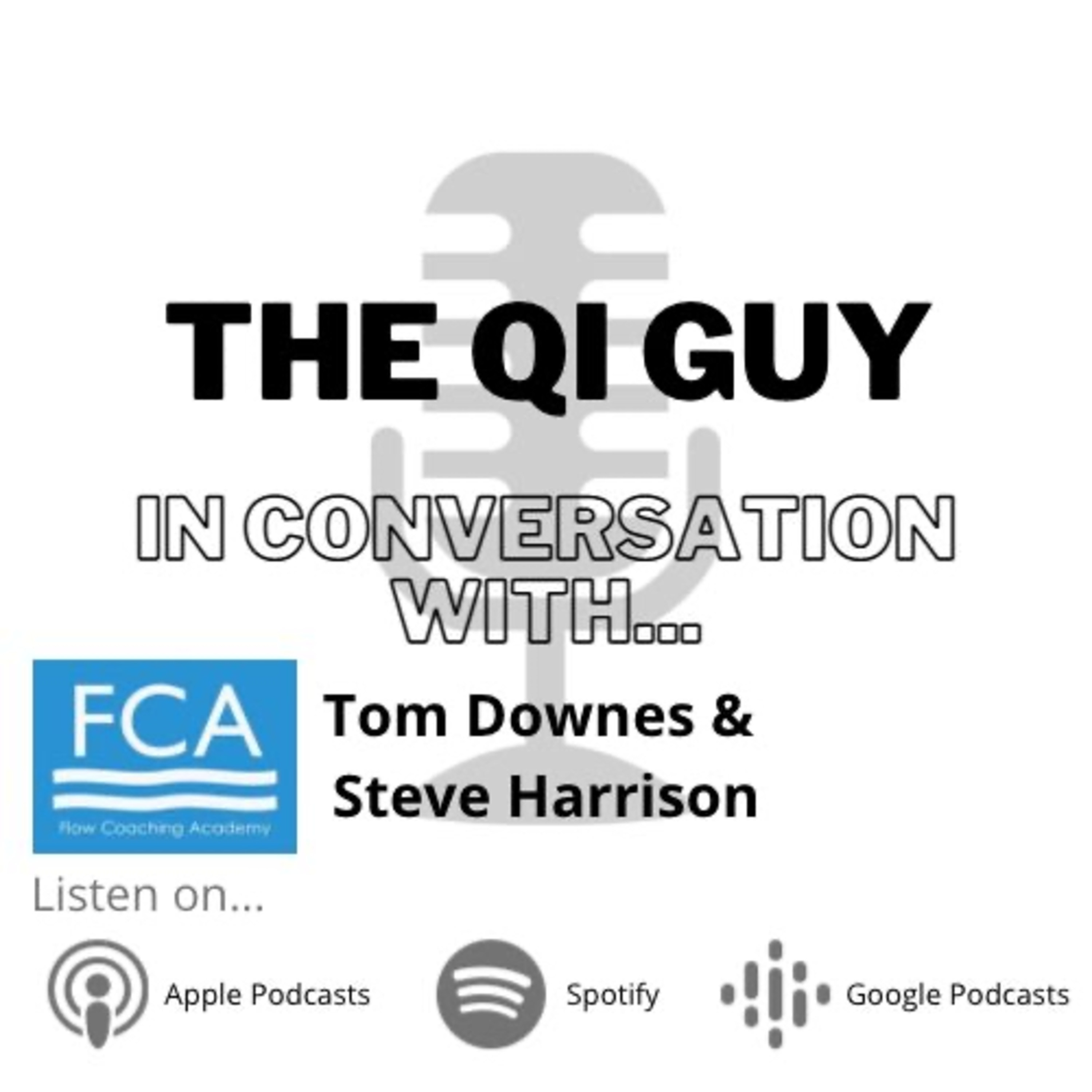 The QI Guy in Conversation with...