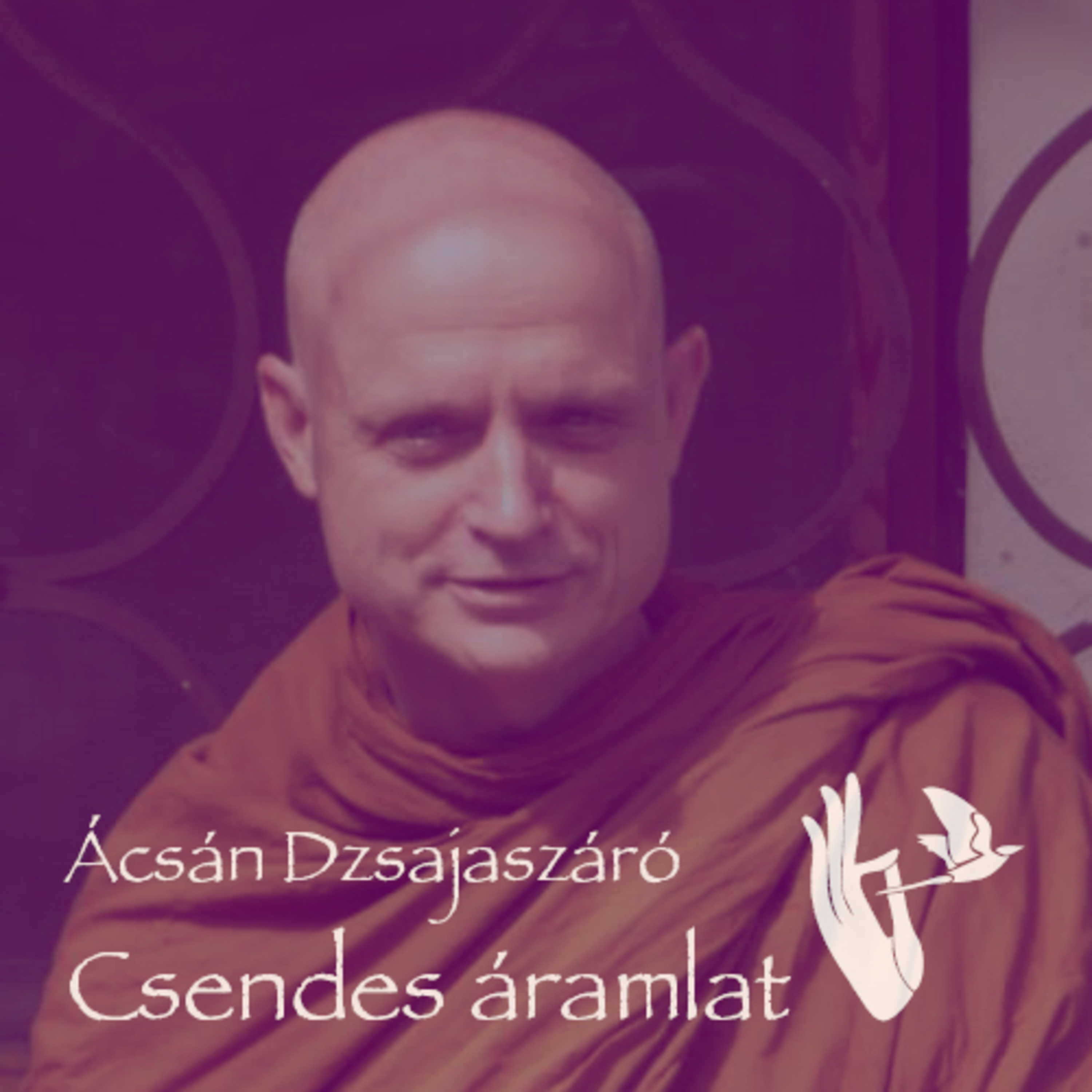 Ácsán Dzsajaszáró: Csendes áramlat 7. rész