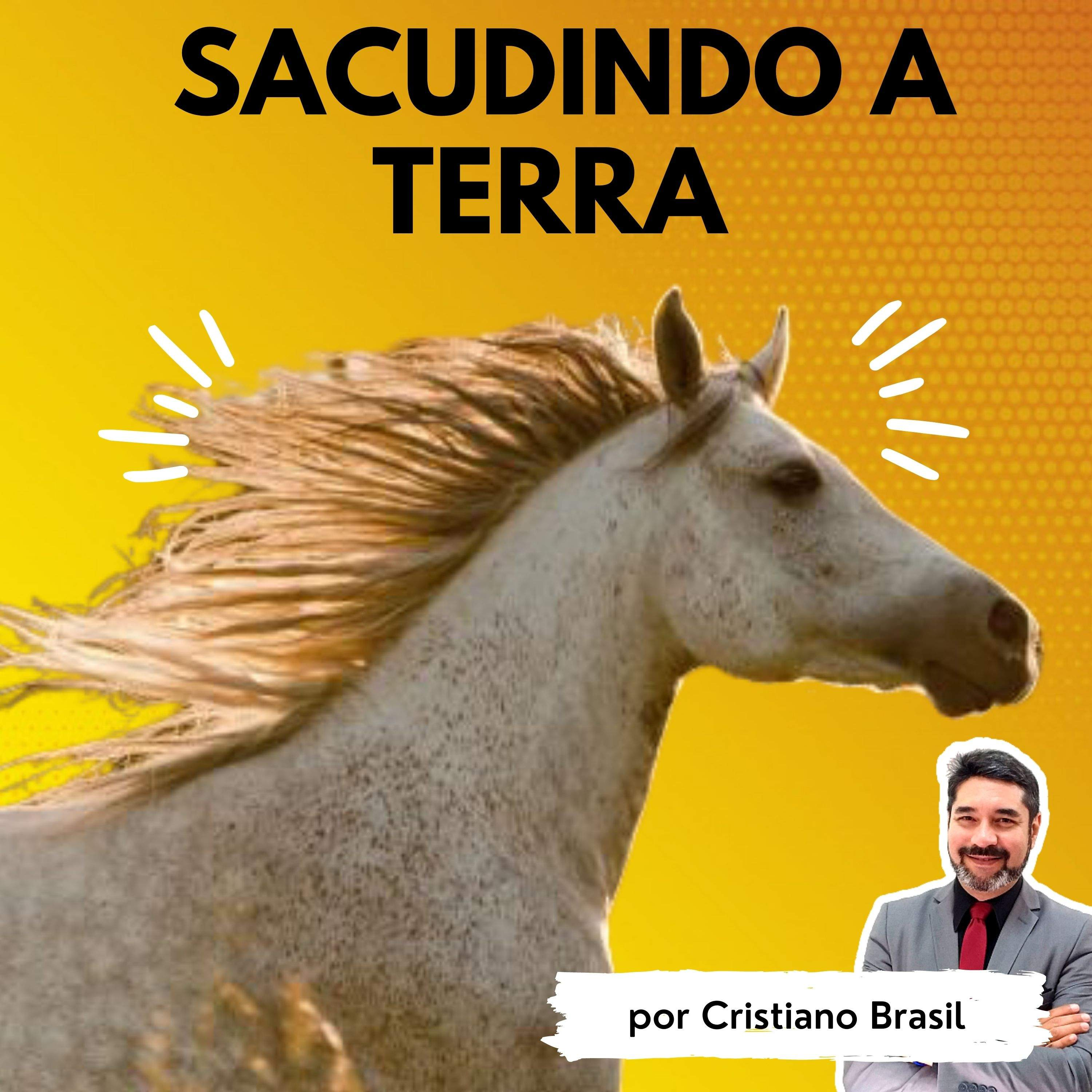 Minutos de Sabedoria