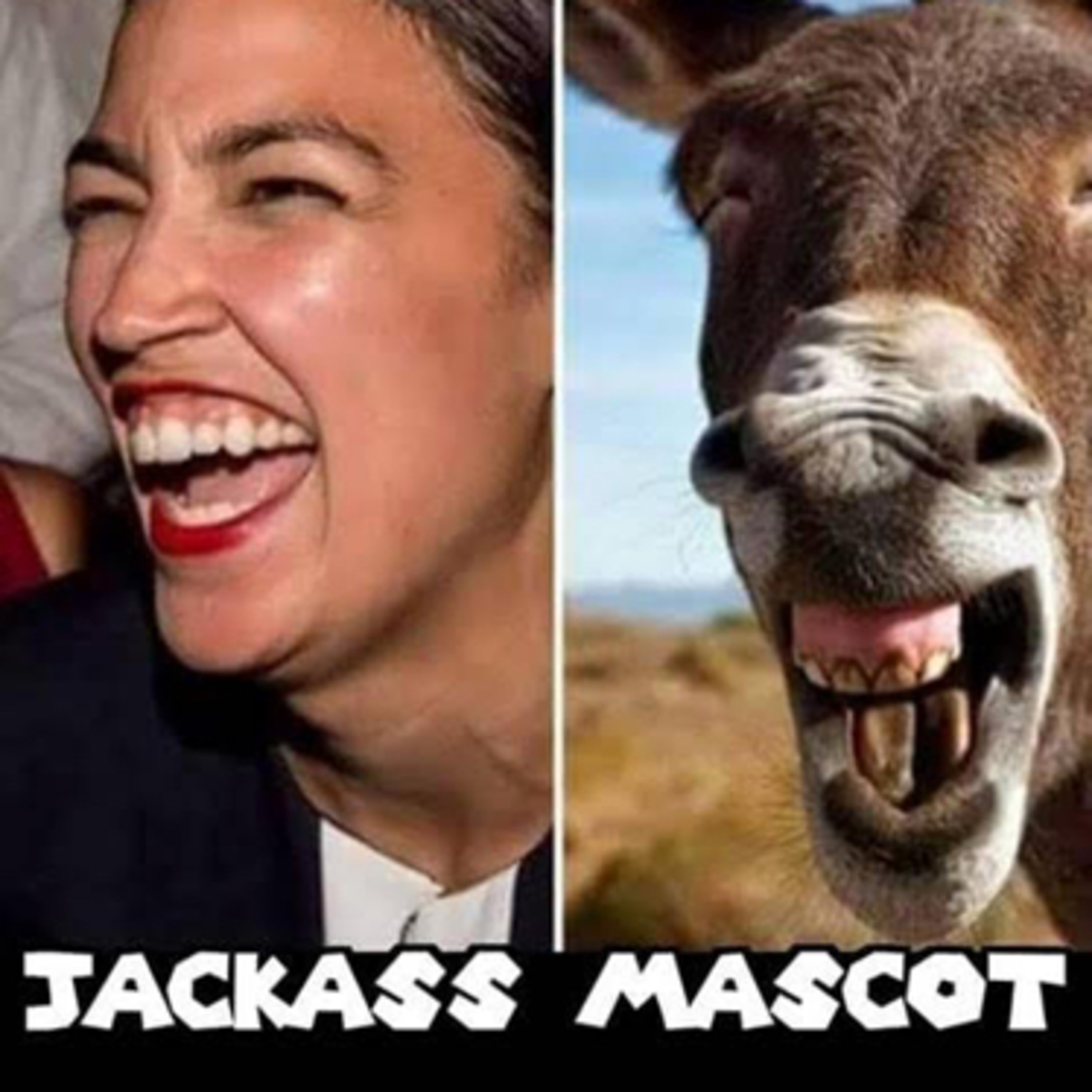 Gideon’s Corner Singles: The 2018-19 Democrat Socialist Disaster episode artwork