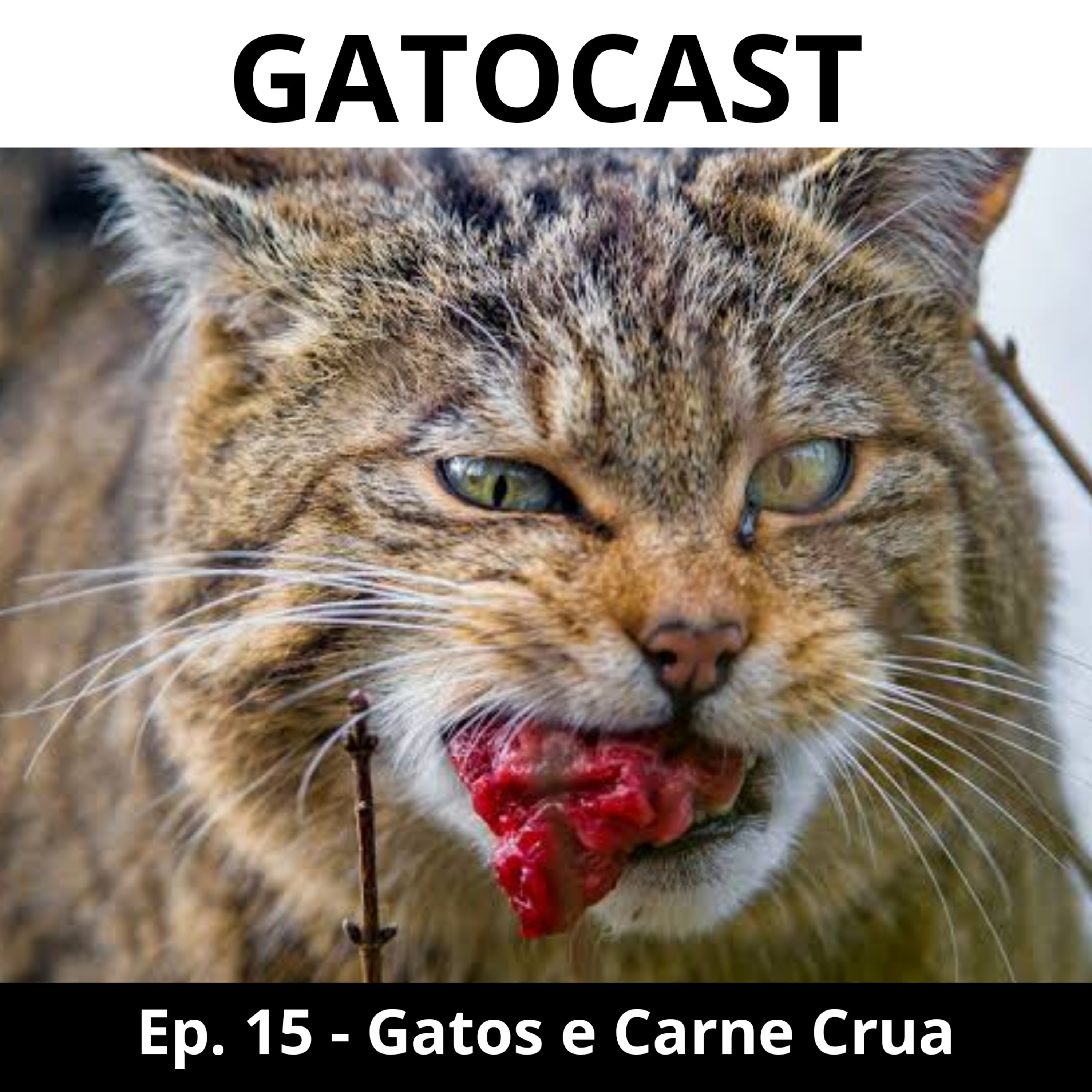 Gatocast