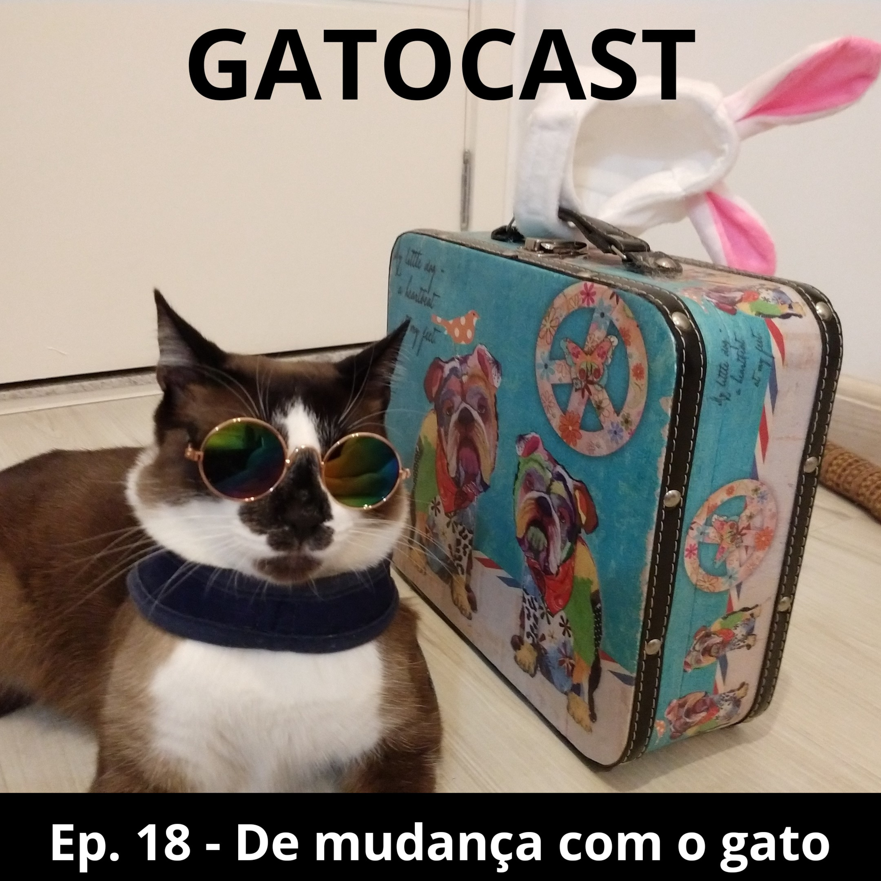 Gatocast