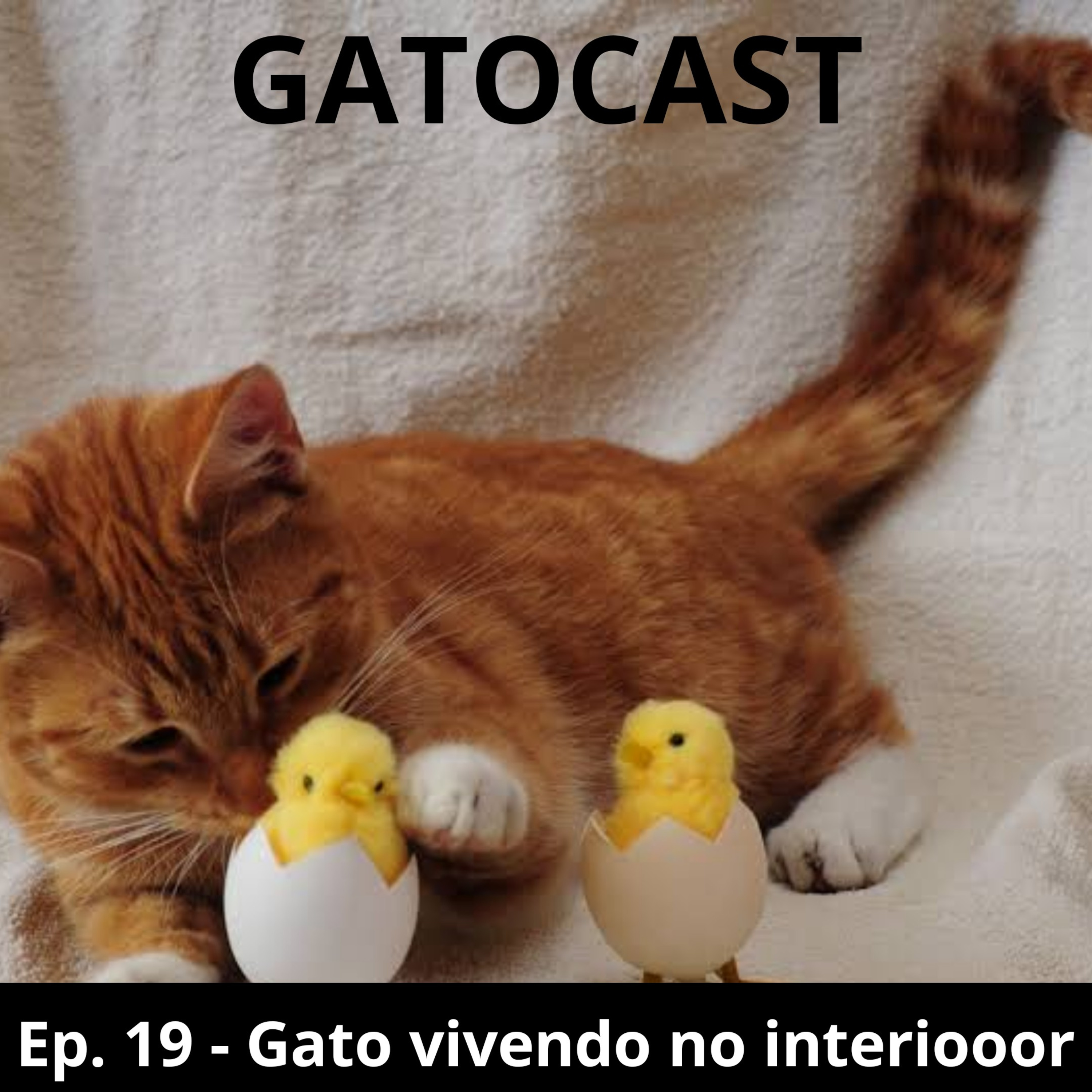 Gatocast
