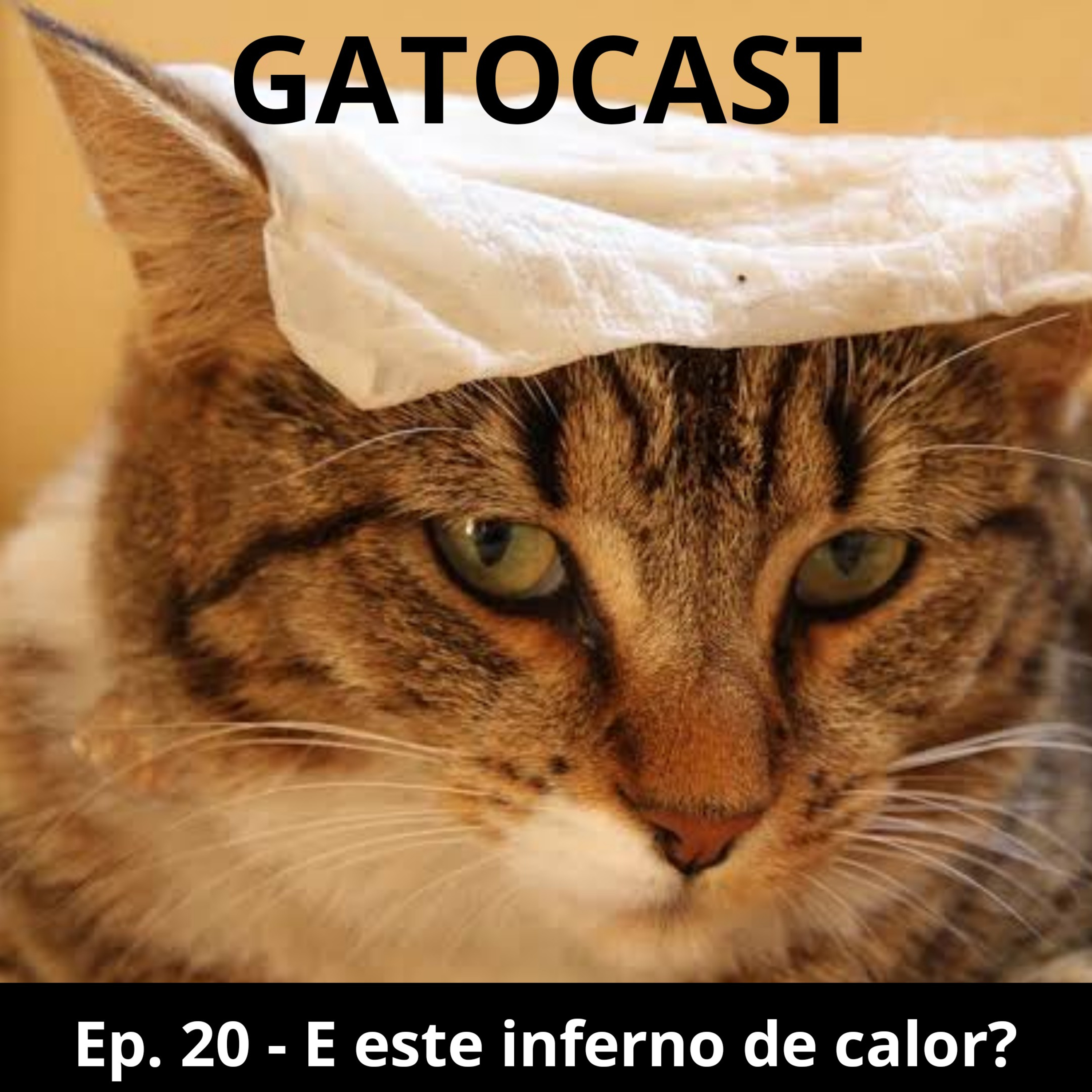 Gatocast