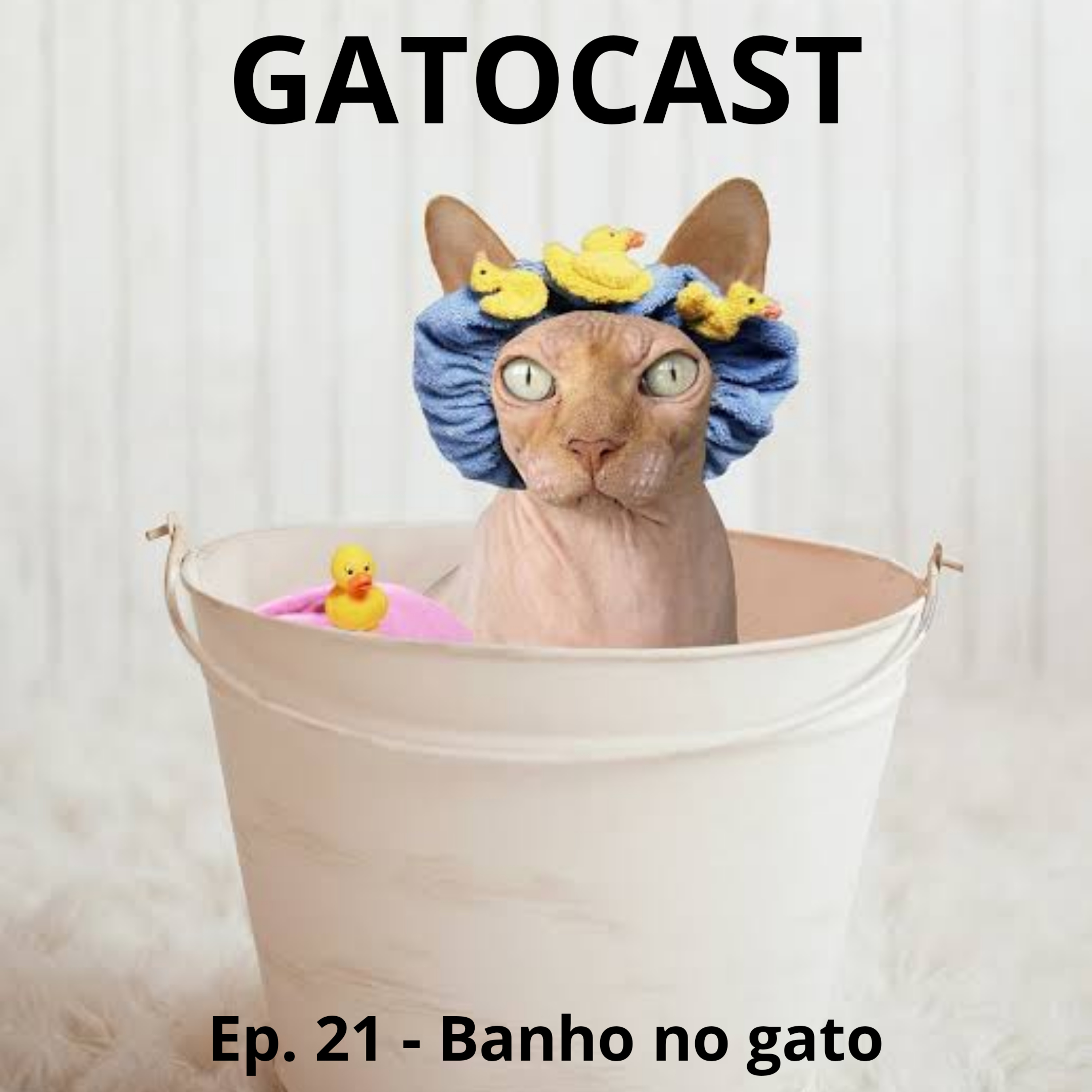 Gatocast