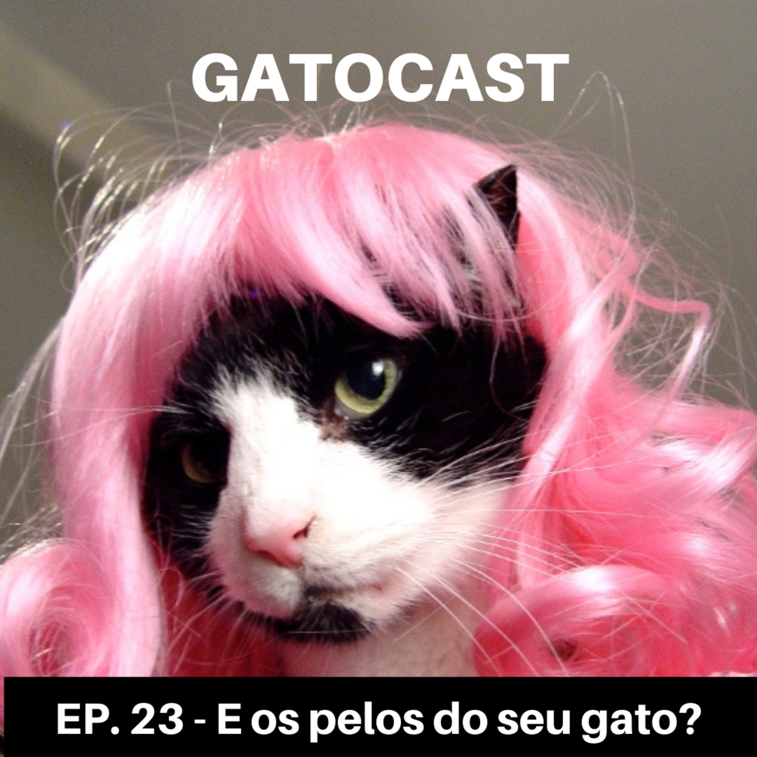 Gatocast