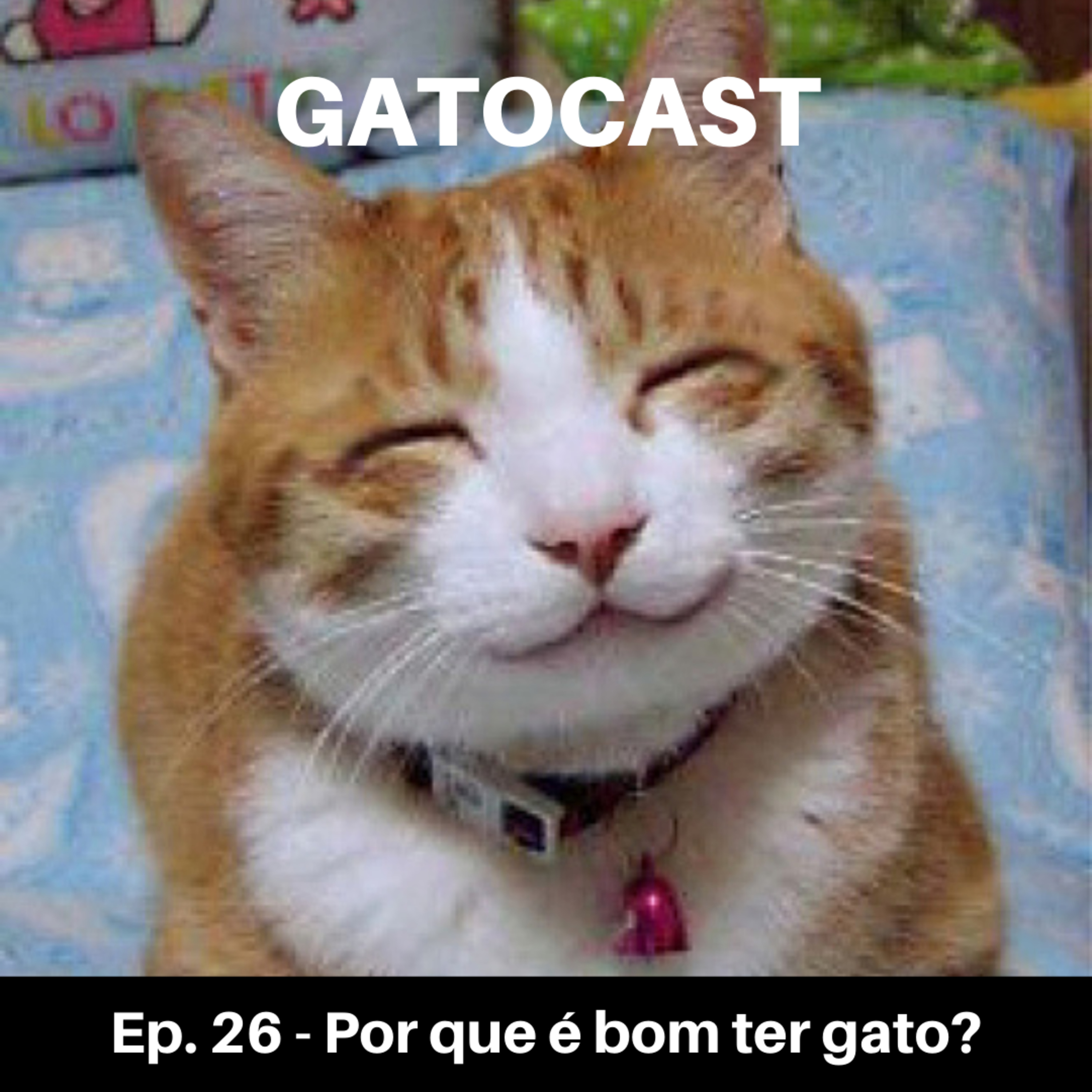 Gatocast