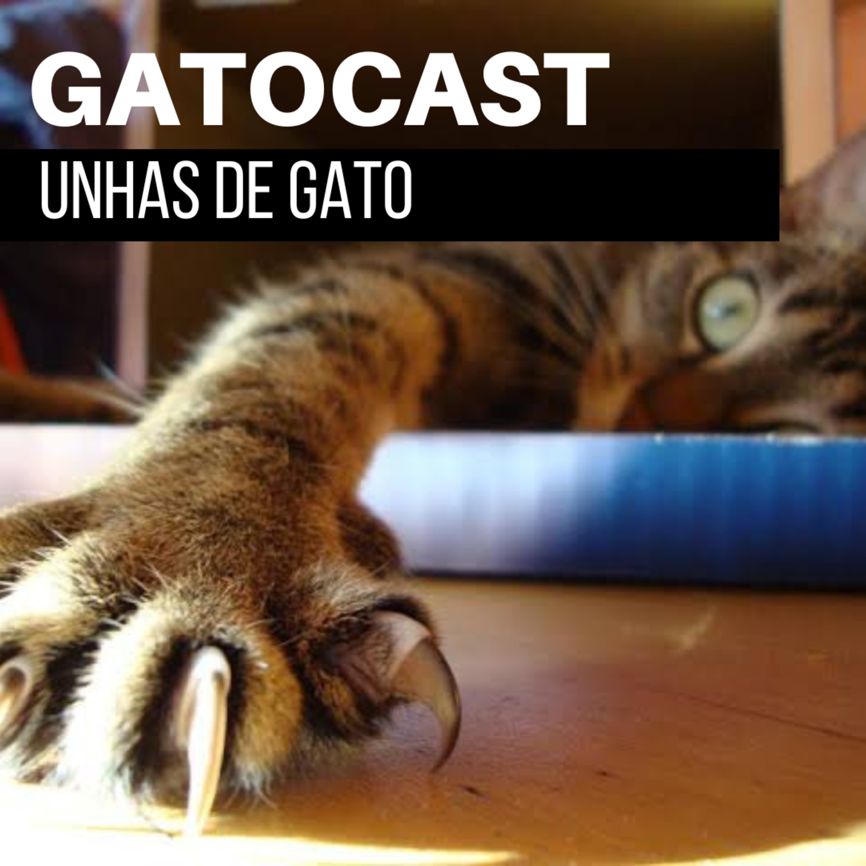 Gatocast