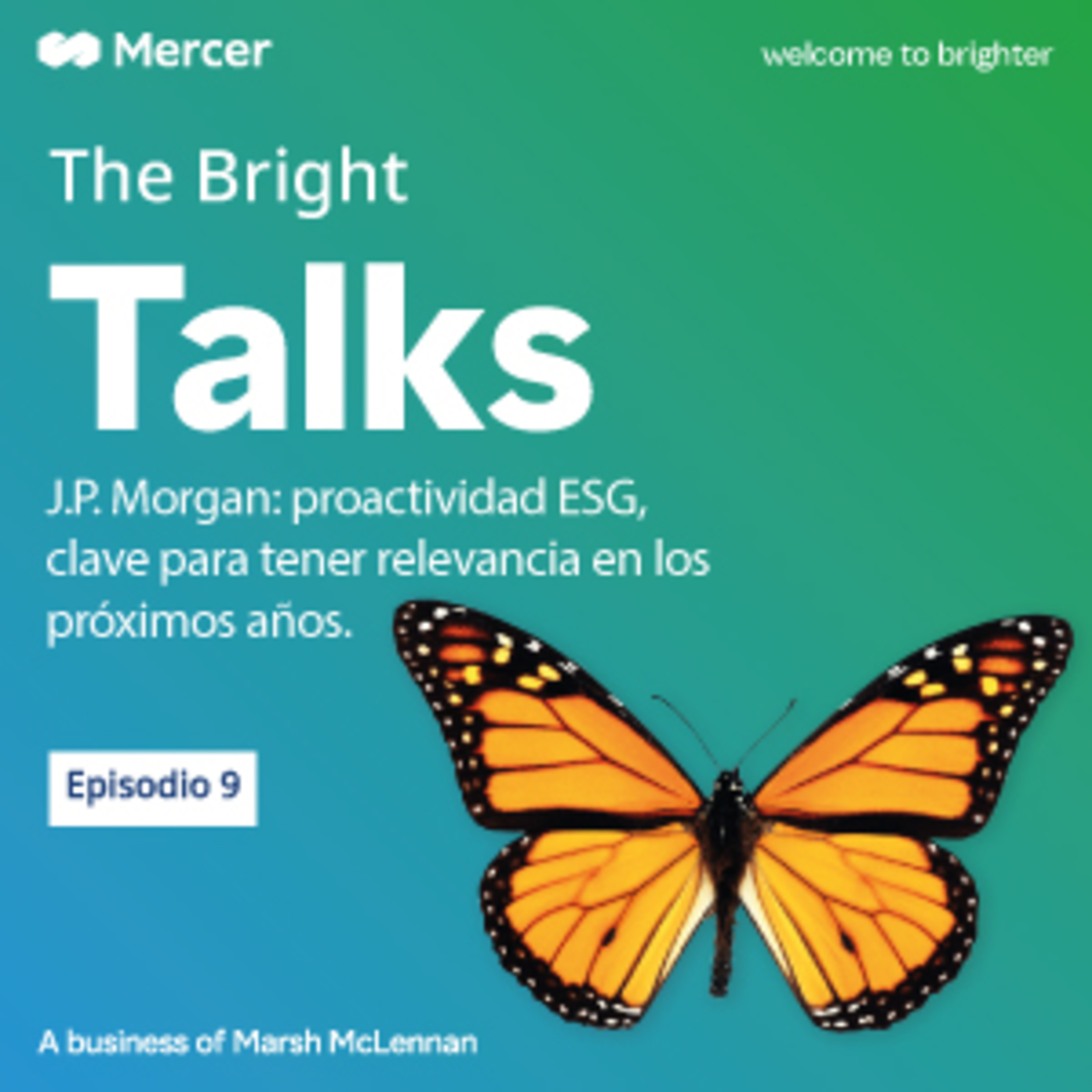 The Bright Talks Andica