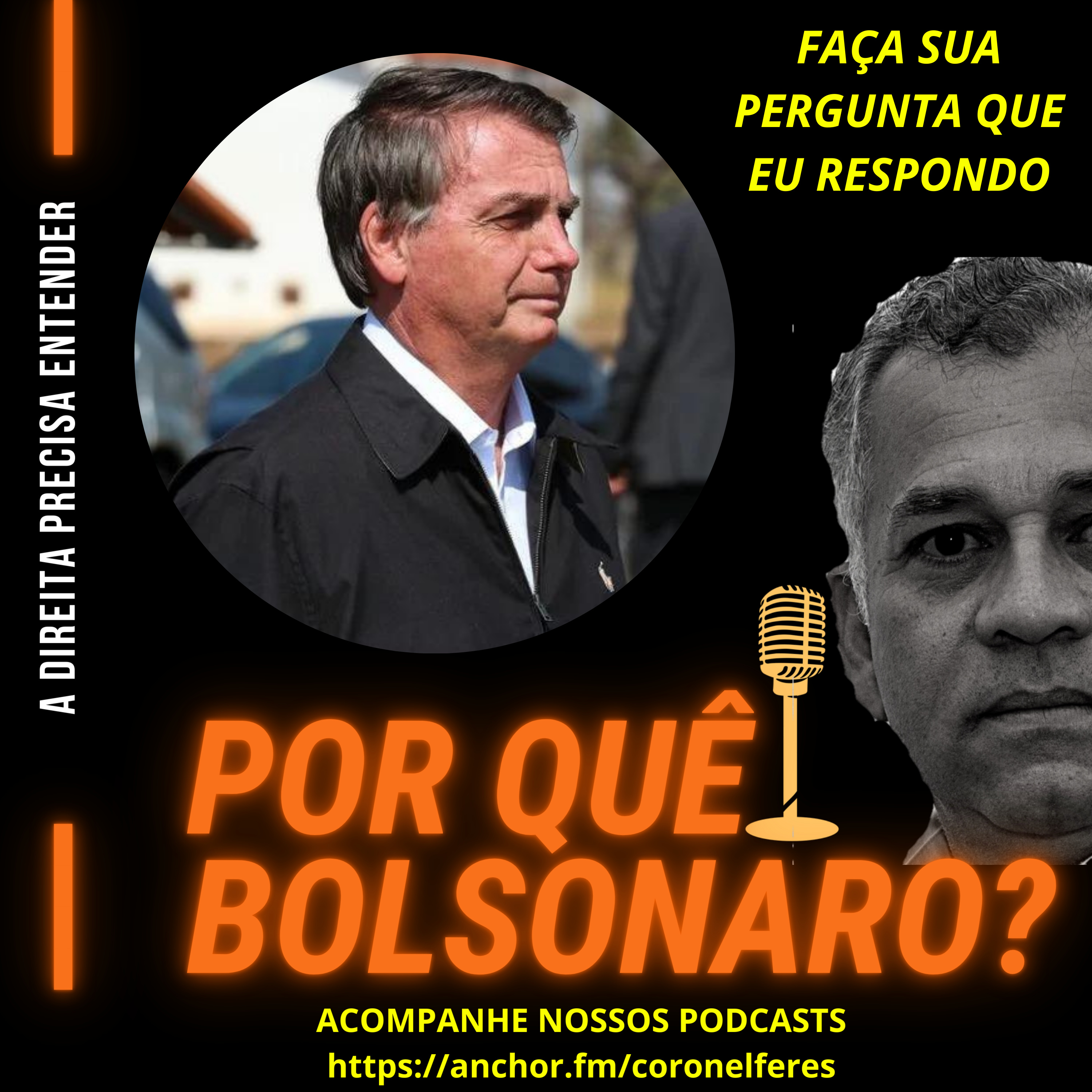 POR QUÊ BOLSONARO? episode artwork