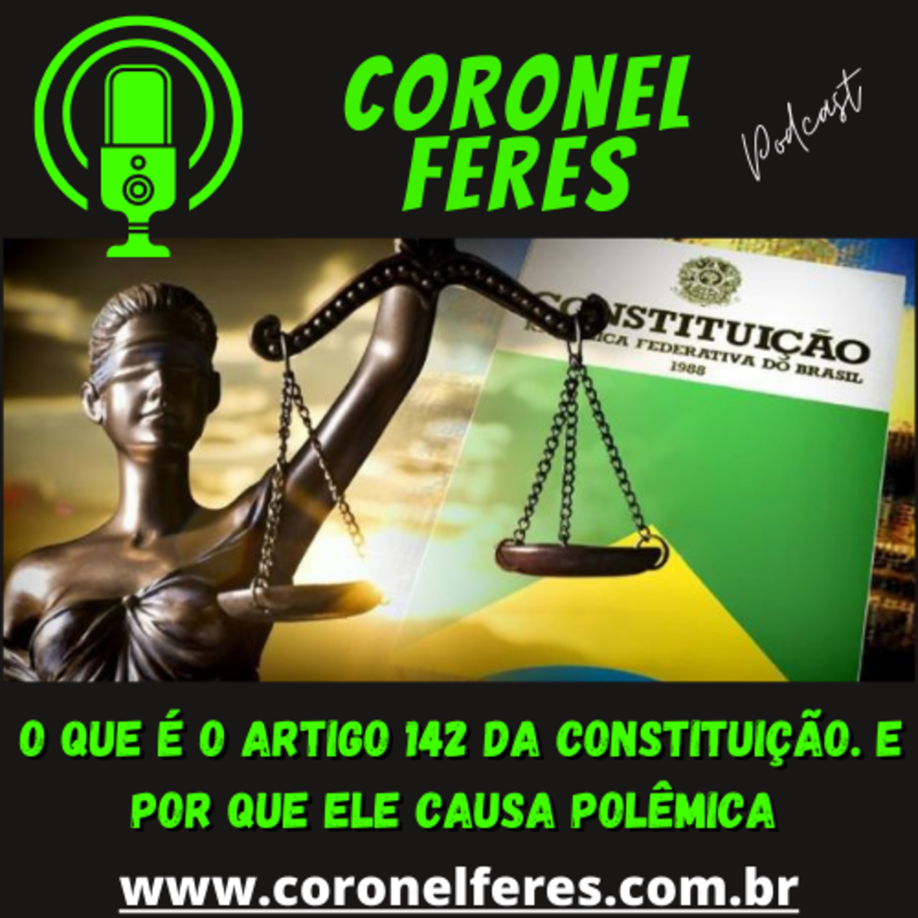 ARTIGO 142 - UM ARTIGO QUE CAUSA POLÊMICA