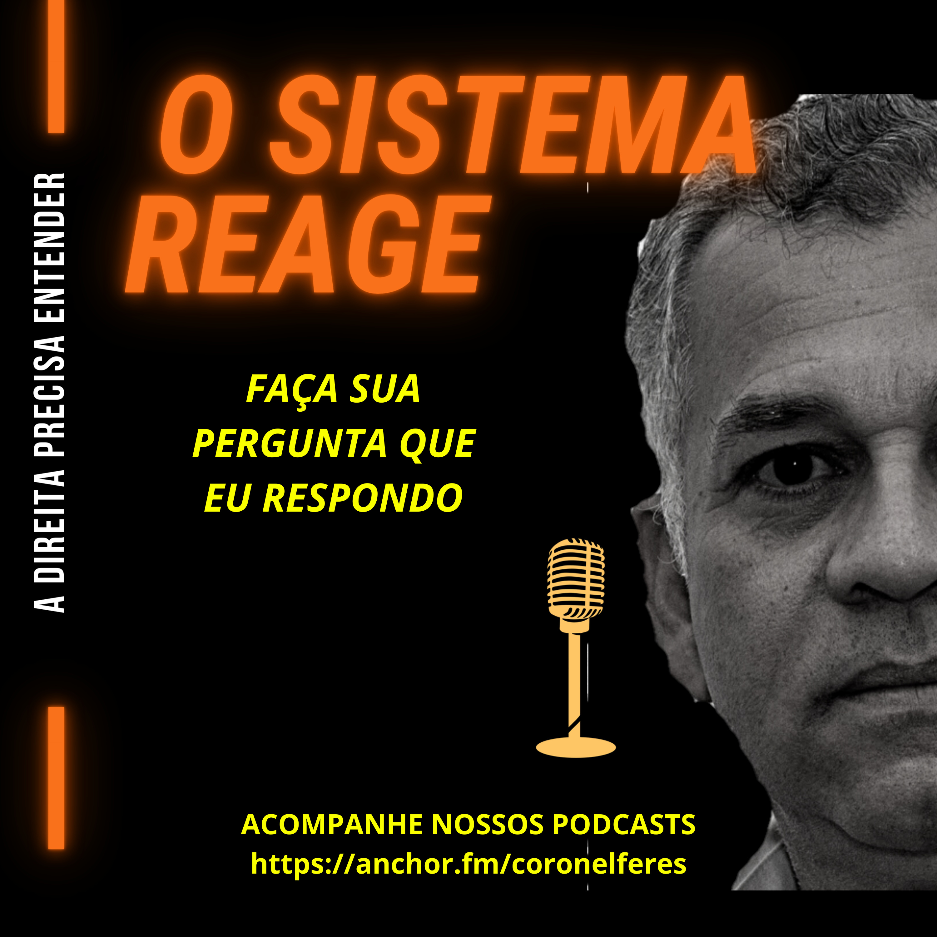 O SISTEMA REAGE episode artwork