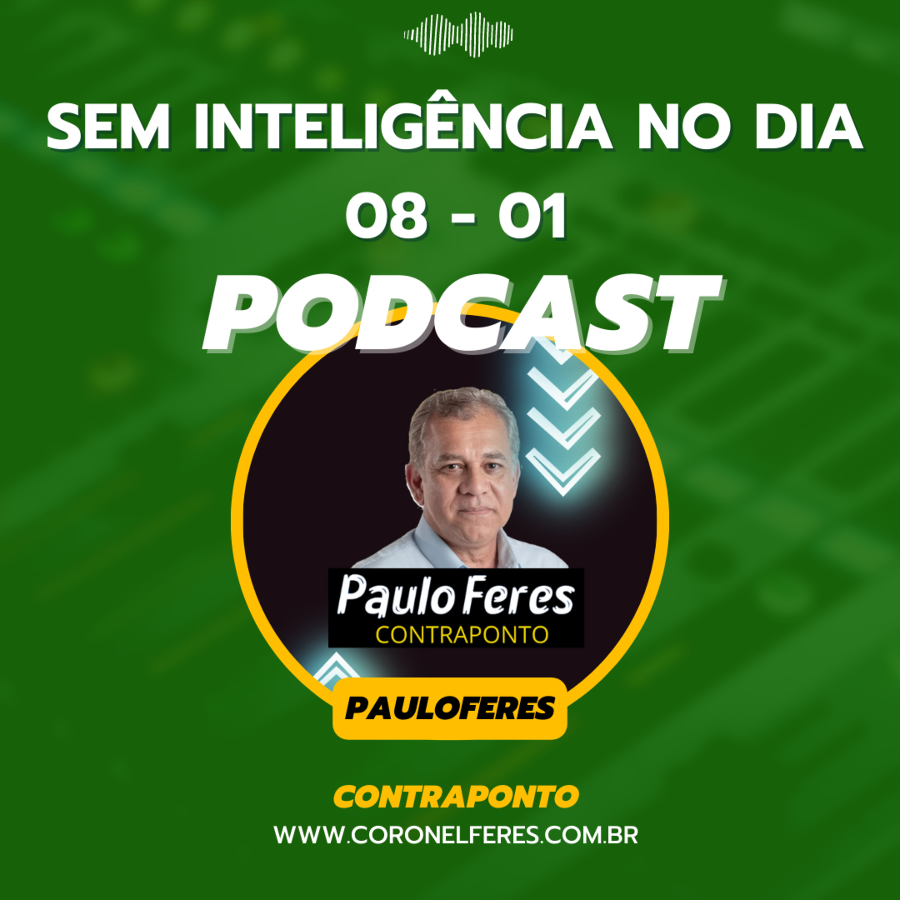 SEM INTELIGÊNCIA NO DIA 08 - 01  episode artwork
