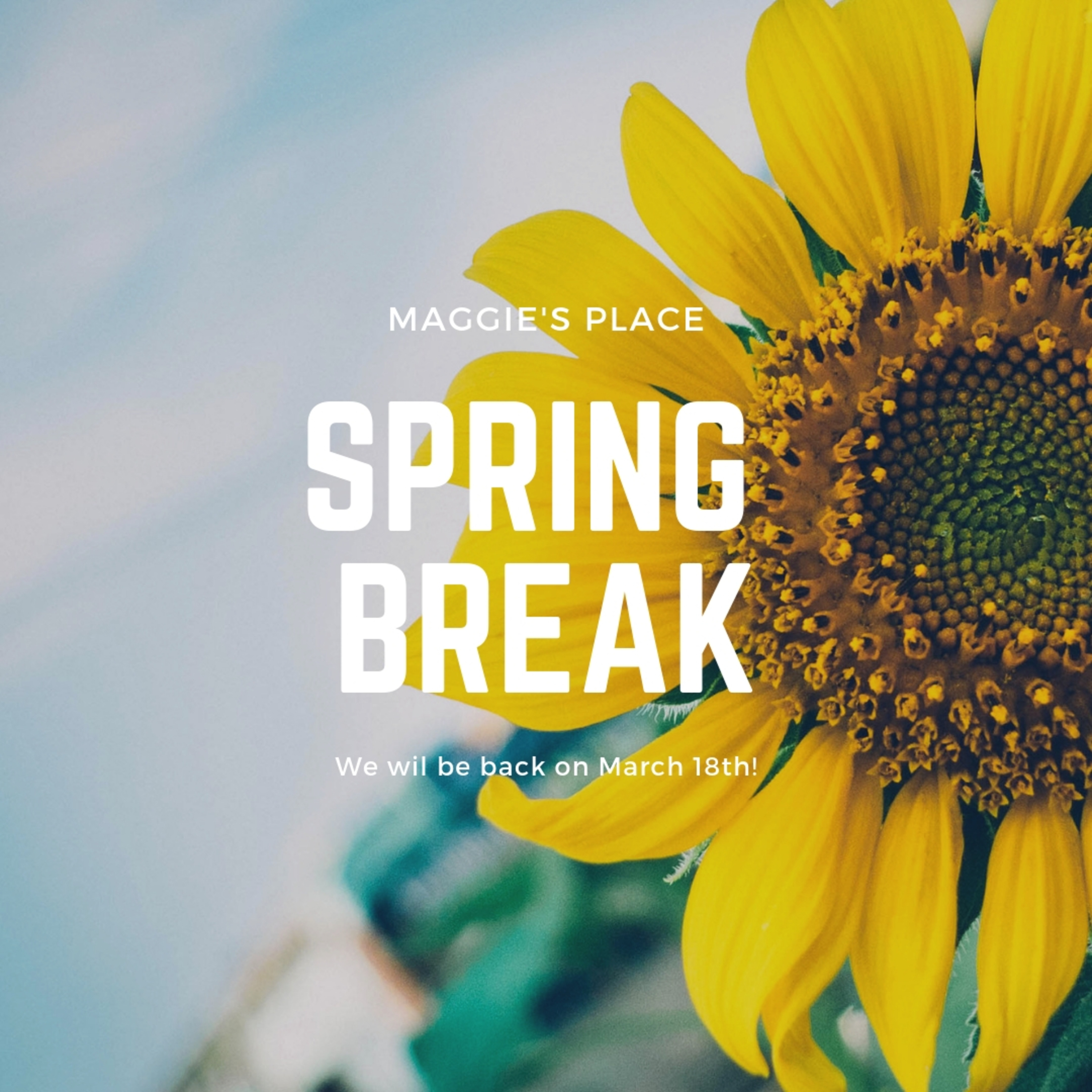 IT'S SPRING BREAK! episode artwork