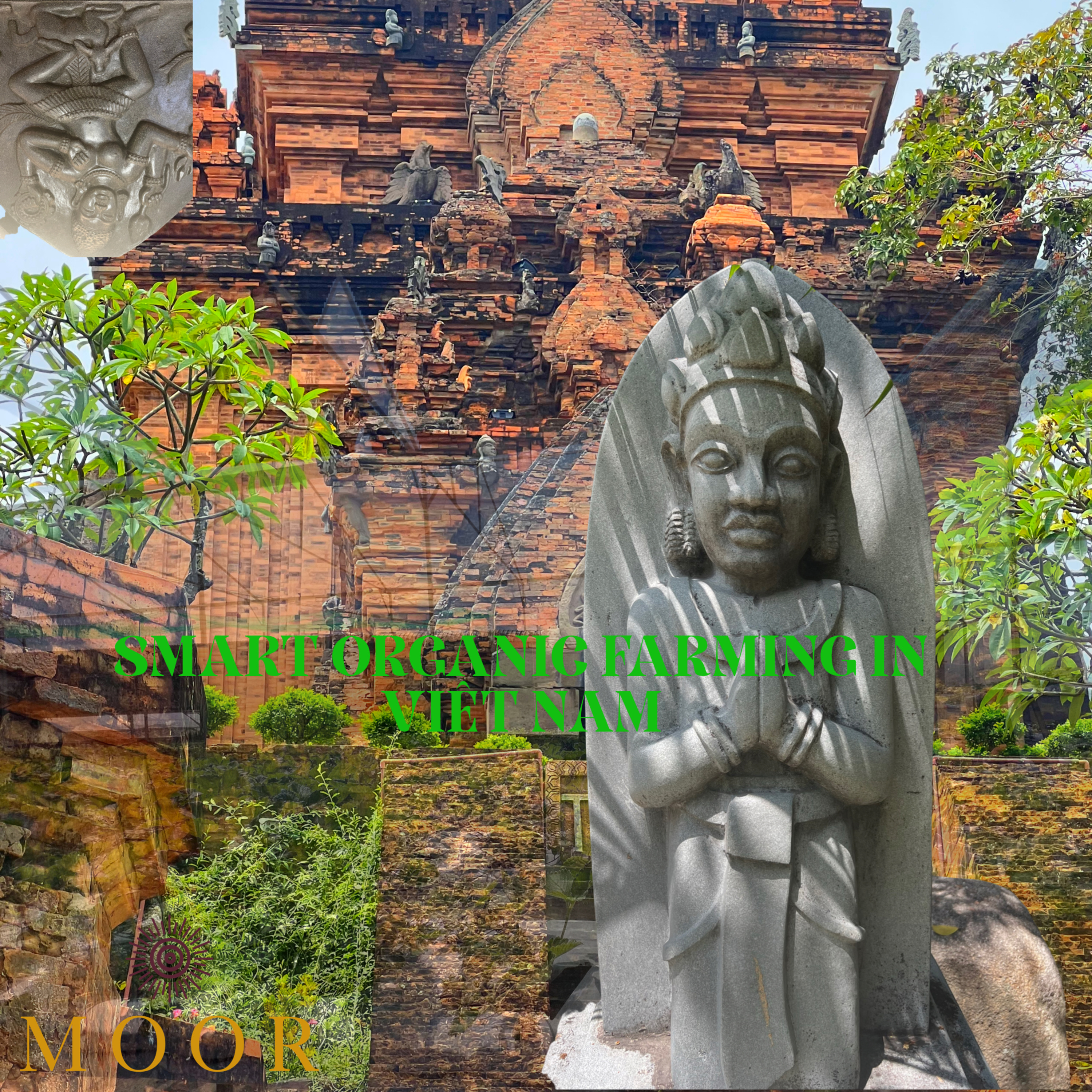 Smart Organic Agricultural Techniques in Viêt Nam Cross Cultural Interview