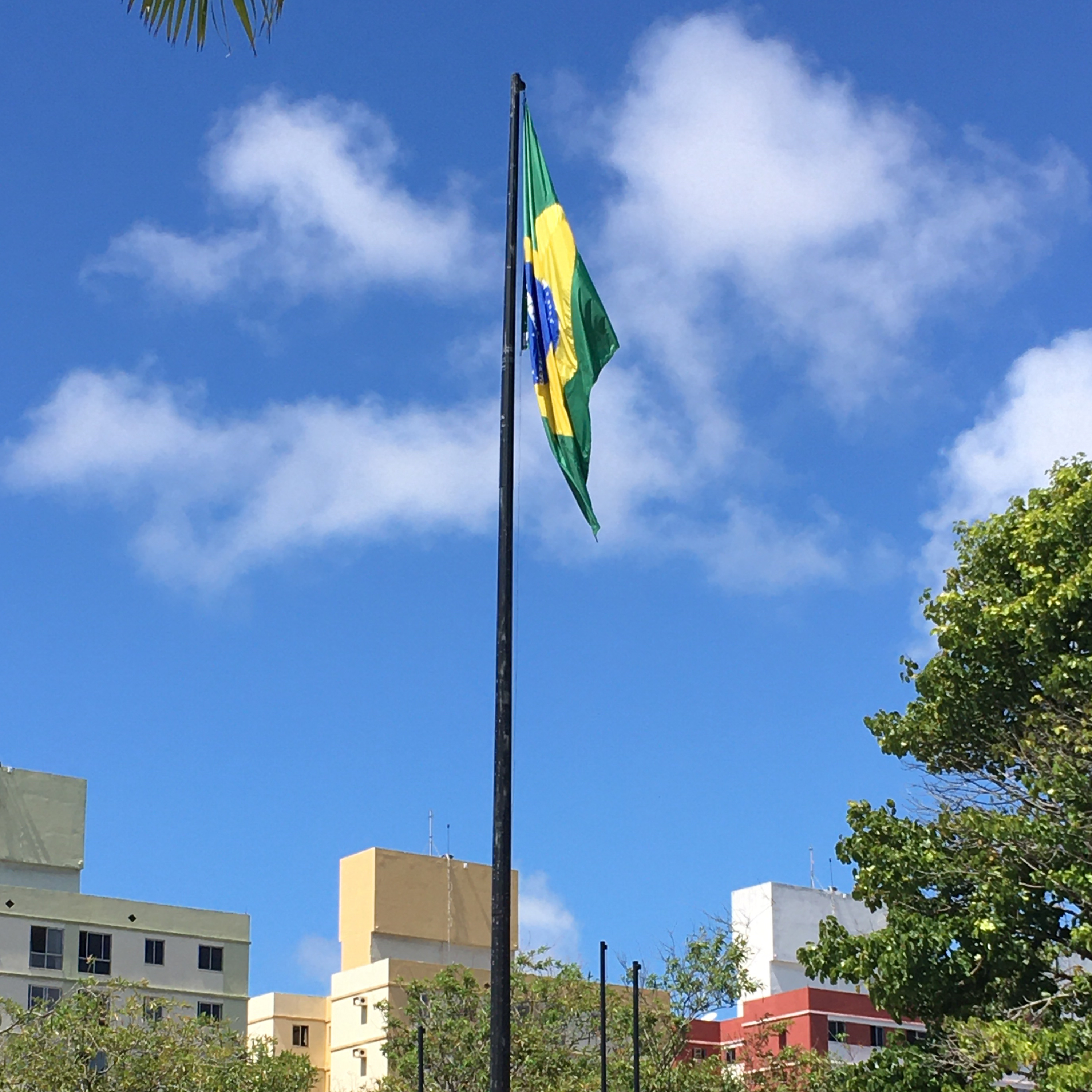 Hoje é o dia! Será mais um dia único na sua vida!