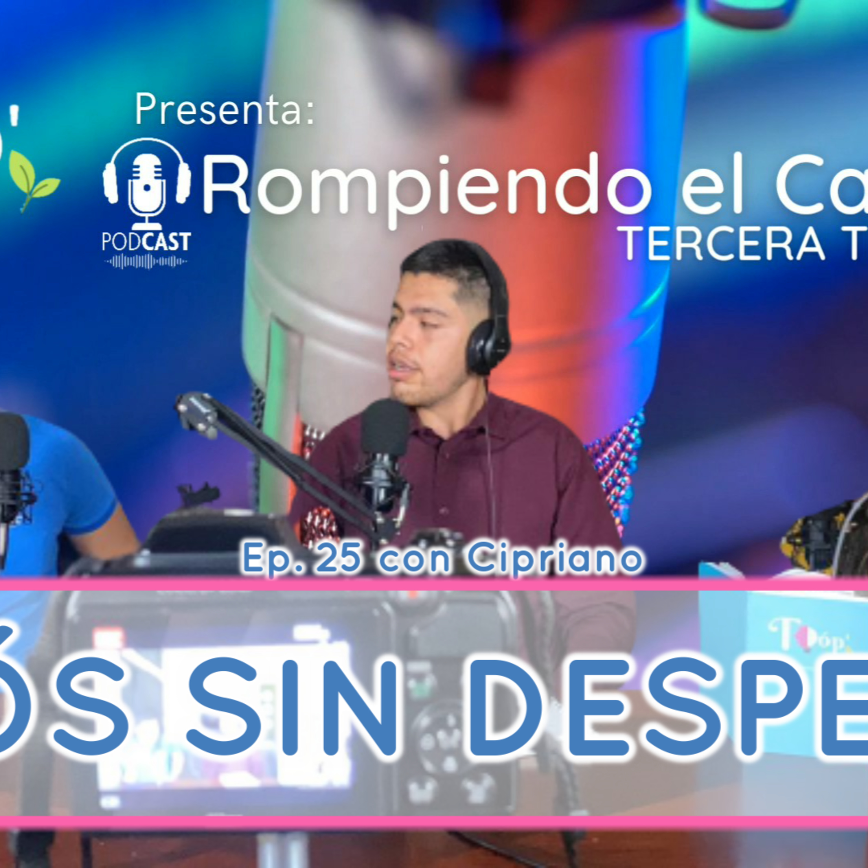 Rompiendo El Cascarón