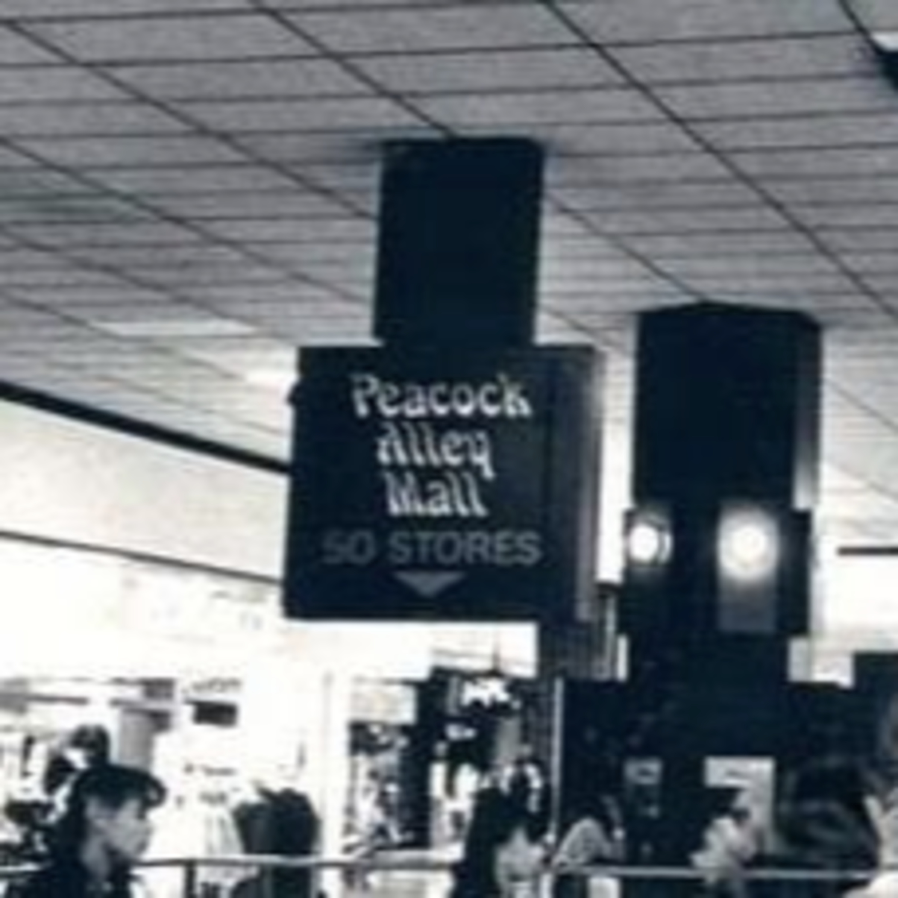 Vanished Chicagoland Stories