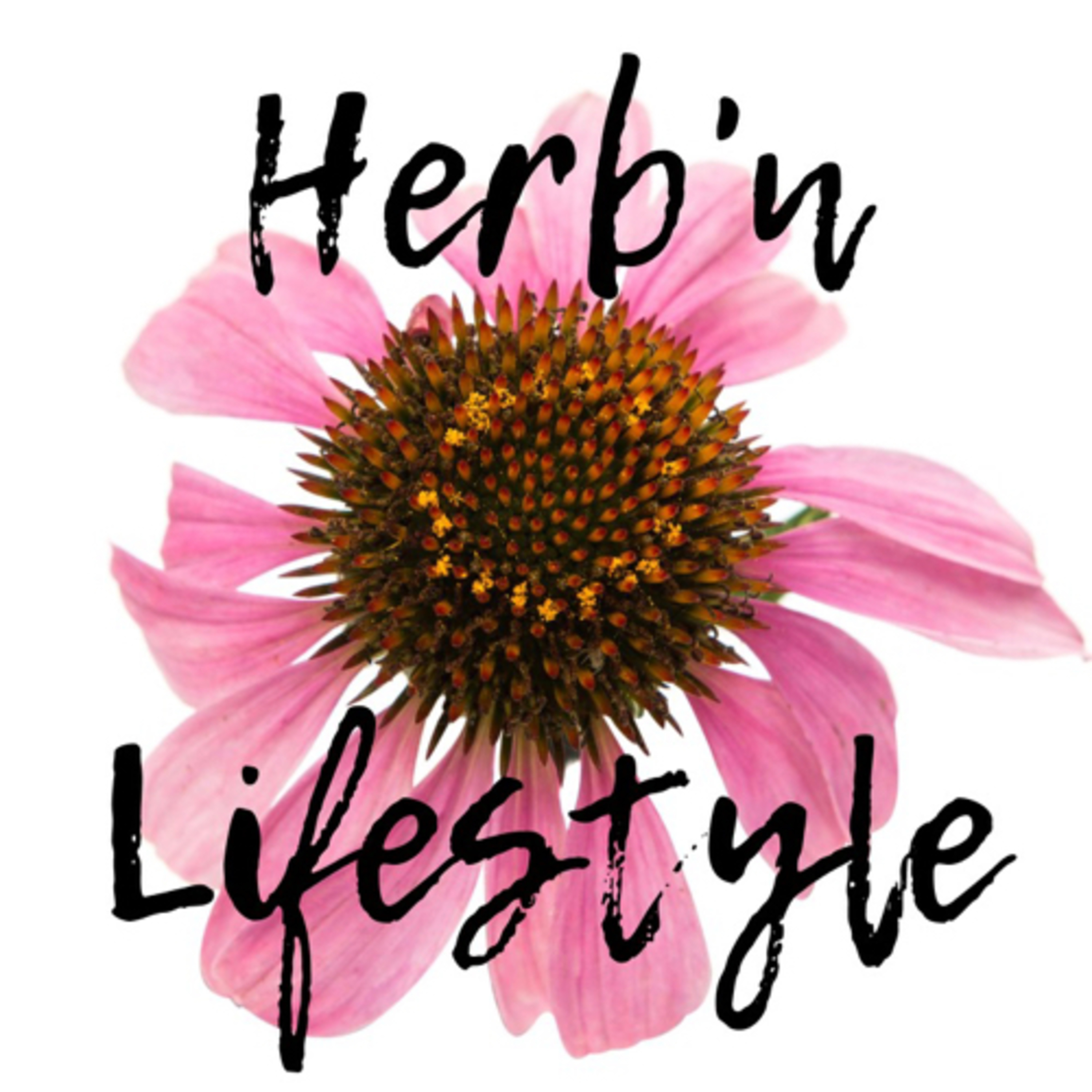 Wholistic Health episode artwork