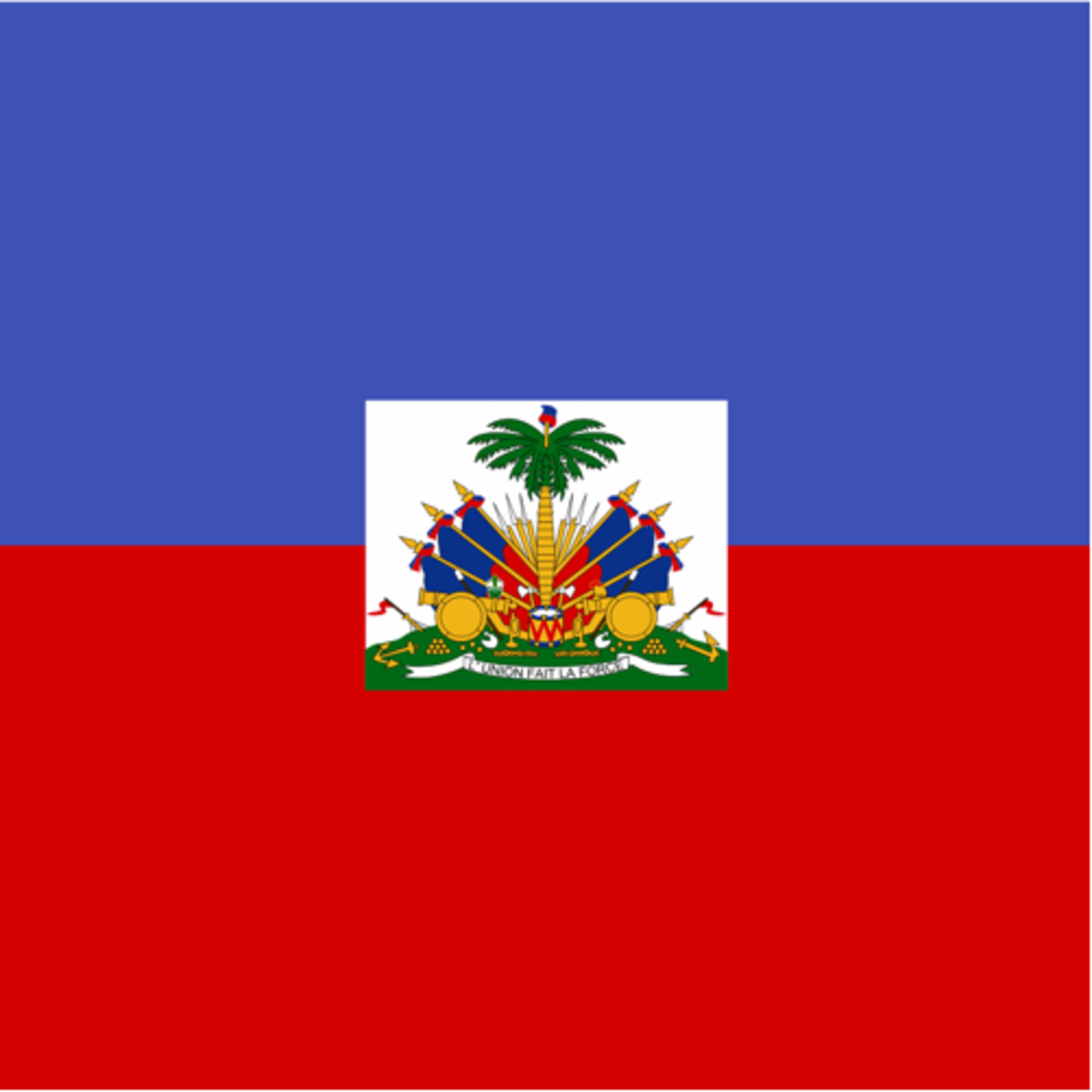 Born And Developed In Haiti episode artwork