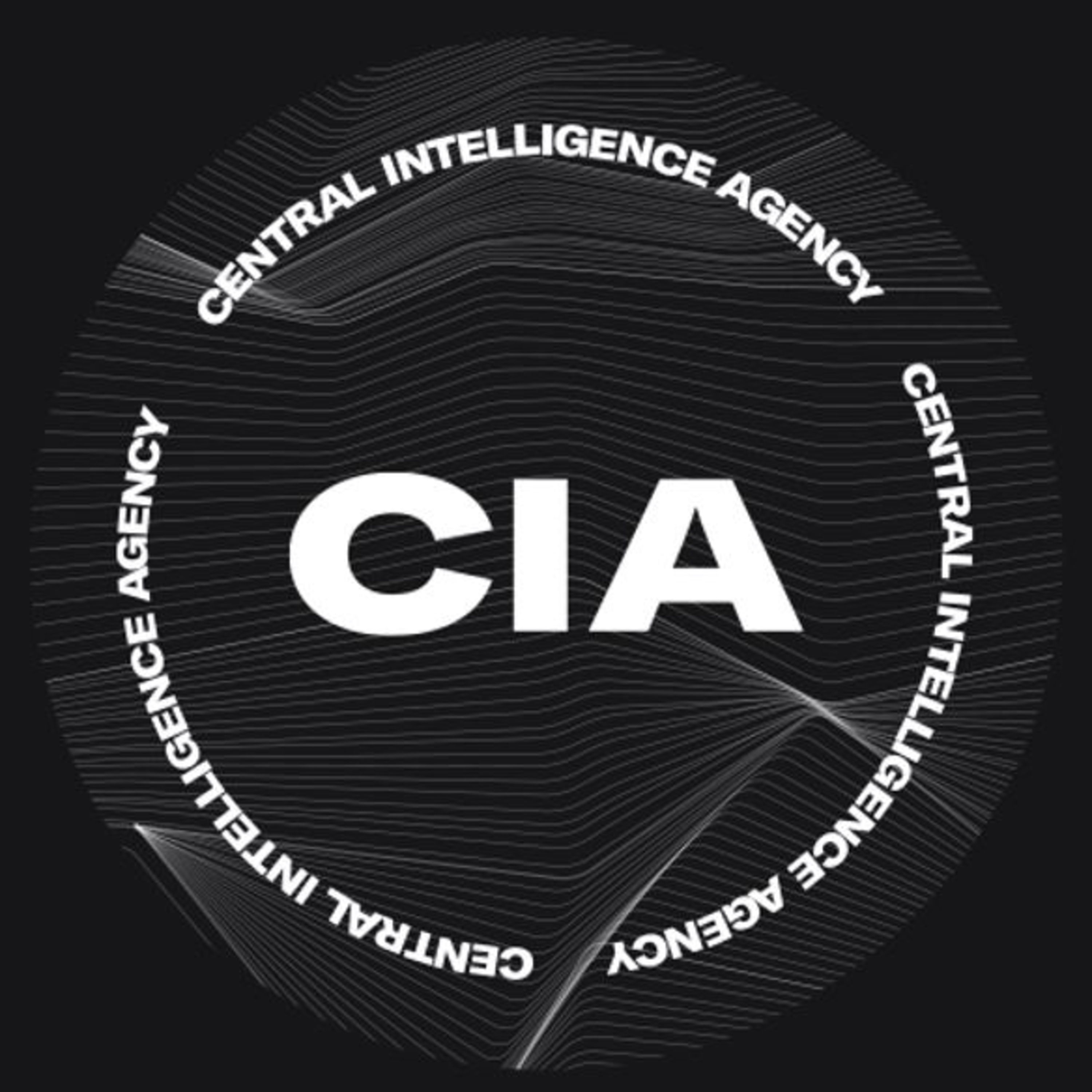 Leiden Security and Global Affairs Podcast