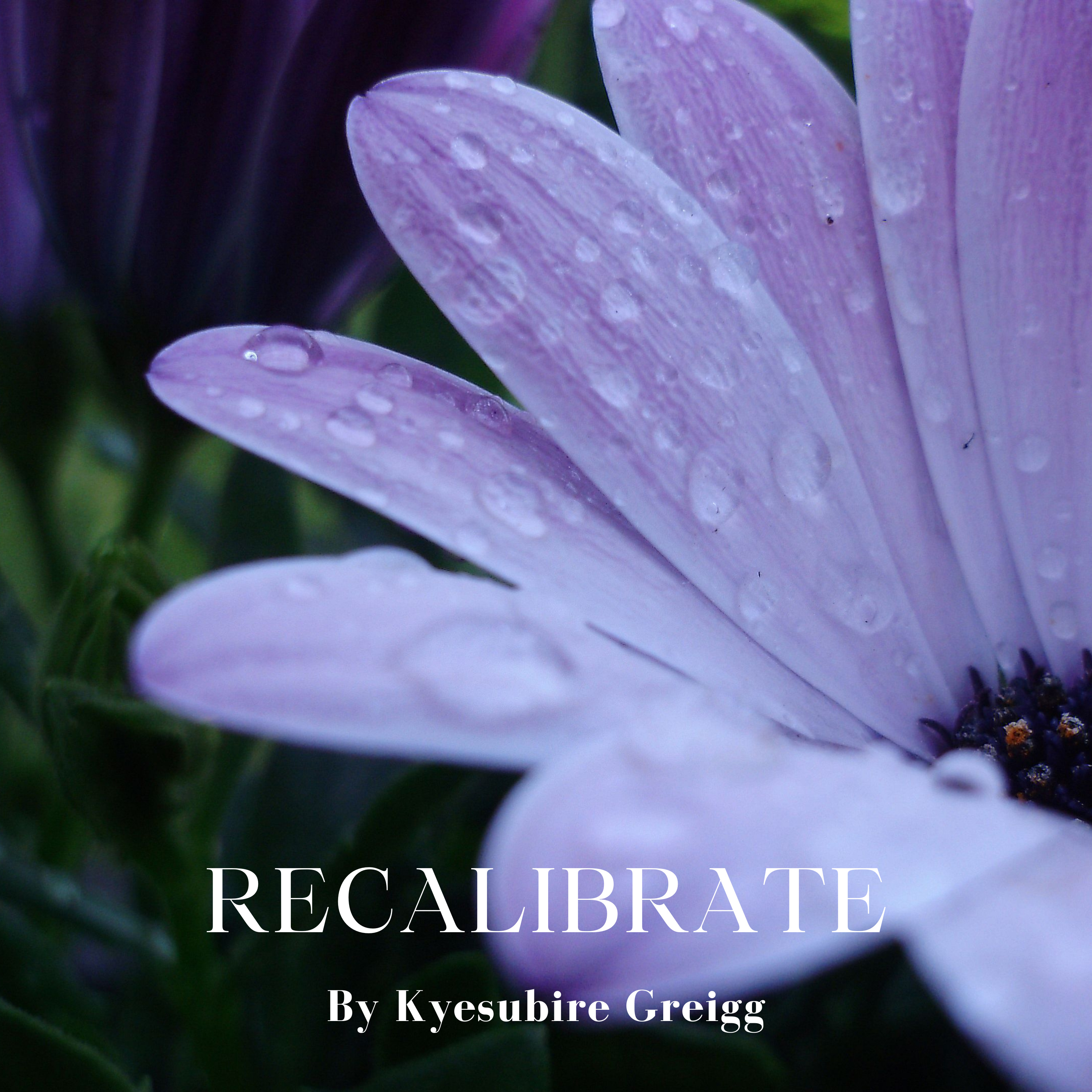 Recalibrate episode artwork