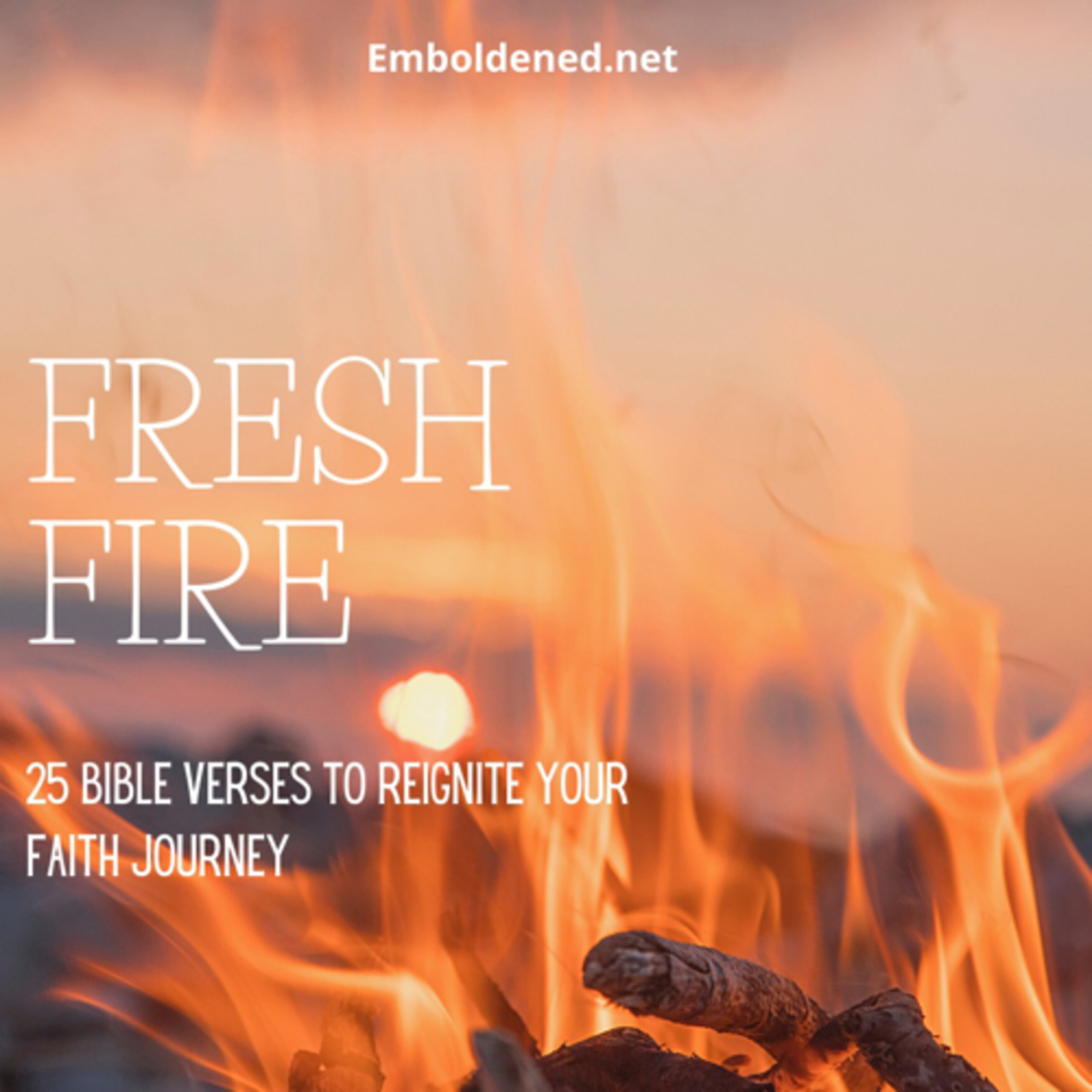 emboldened: Living a bold Christian life