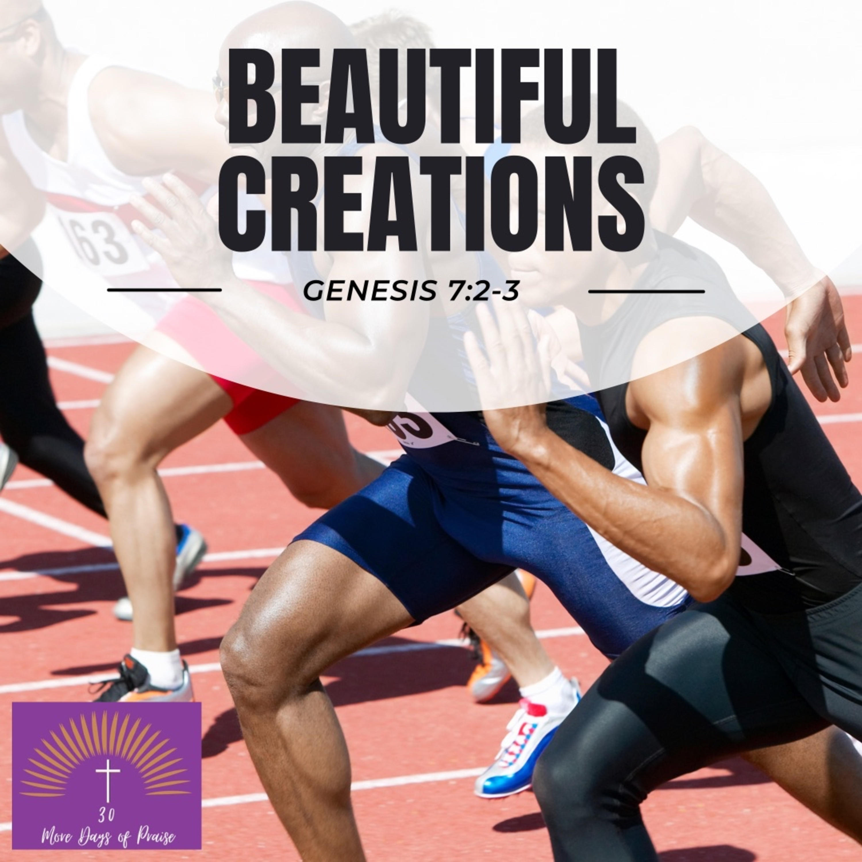 Praise Day 20: Beautiful Creations