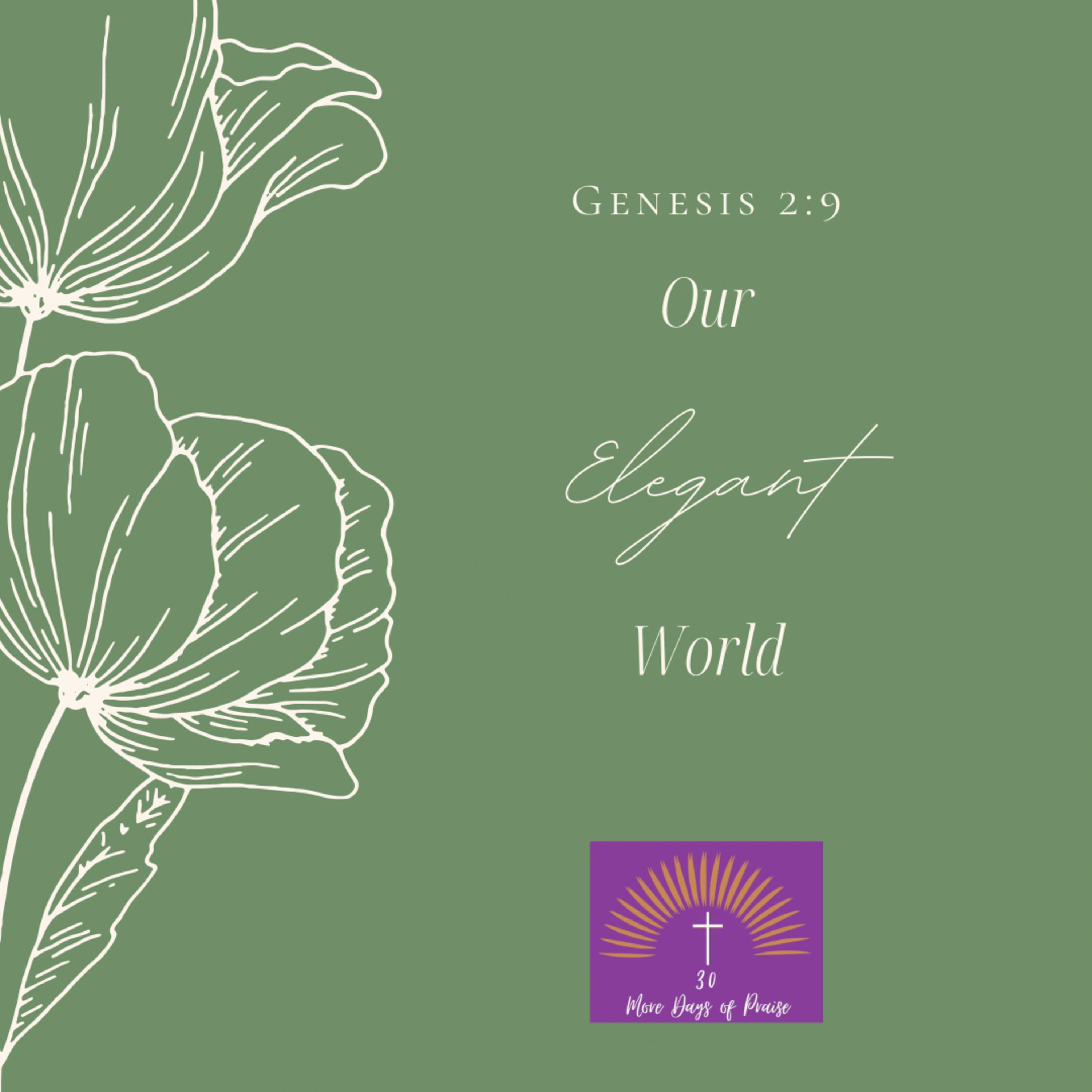 Praise Day 26: Our Elegant World episode artwork