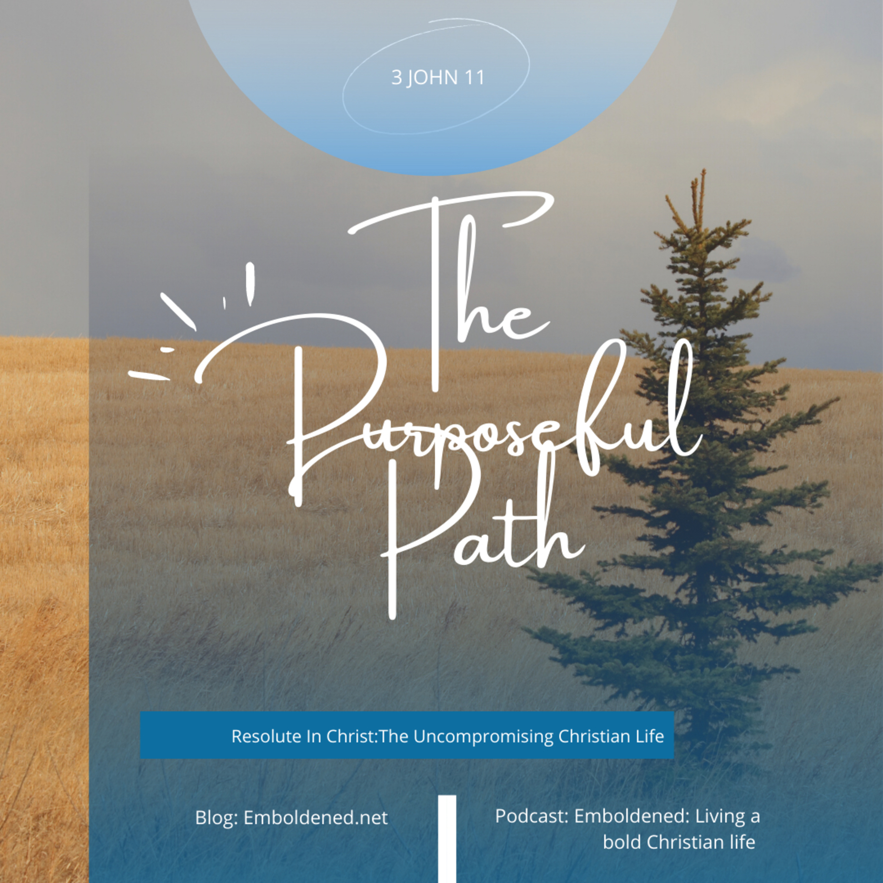 Resolute In Christ: The Purposeful Path episode artwork