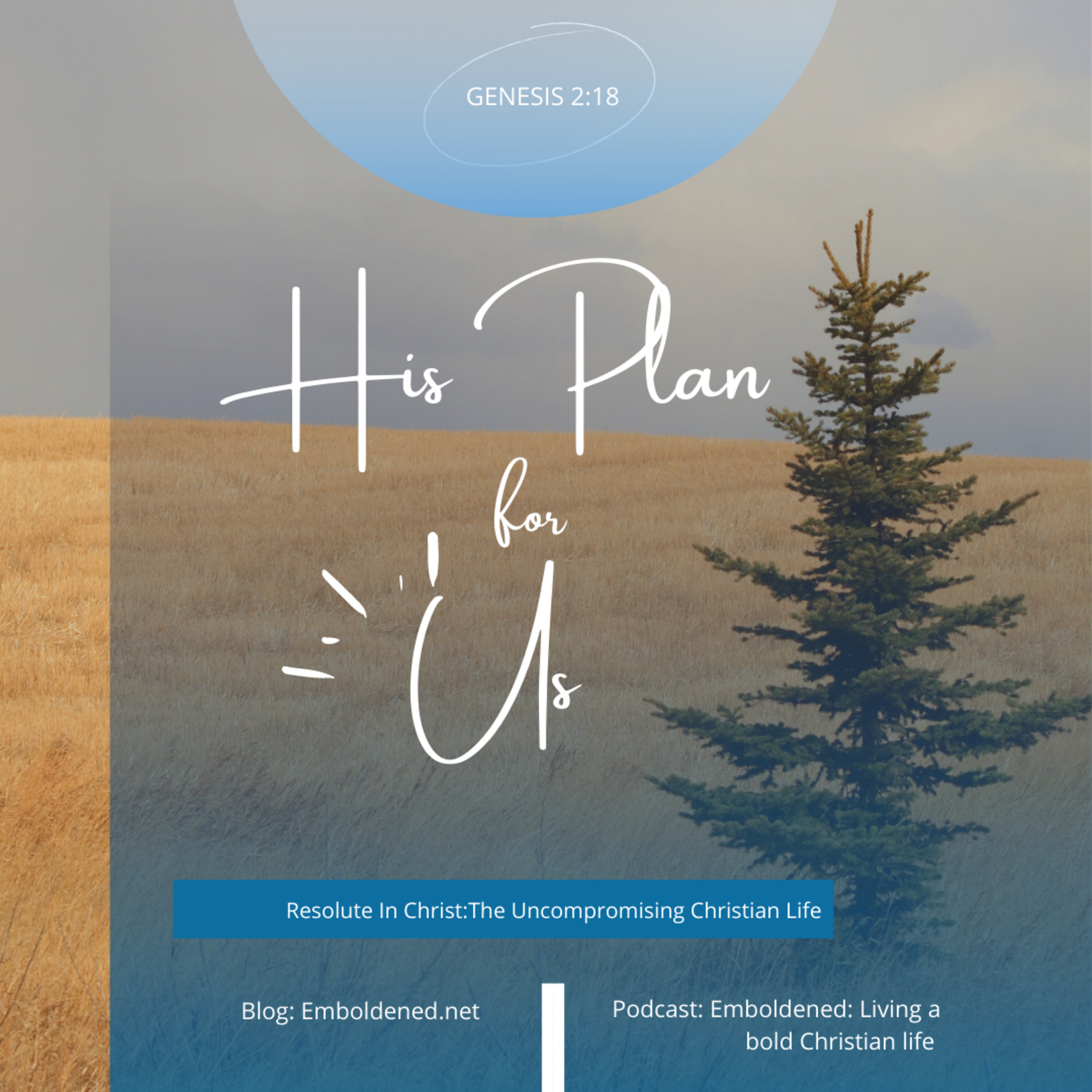 Resolute In Christ: A Plan for Us episode artwork