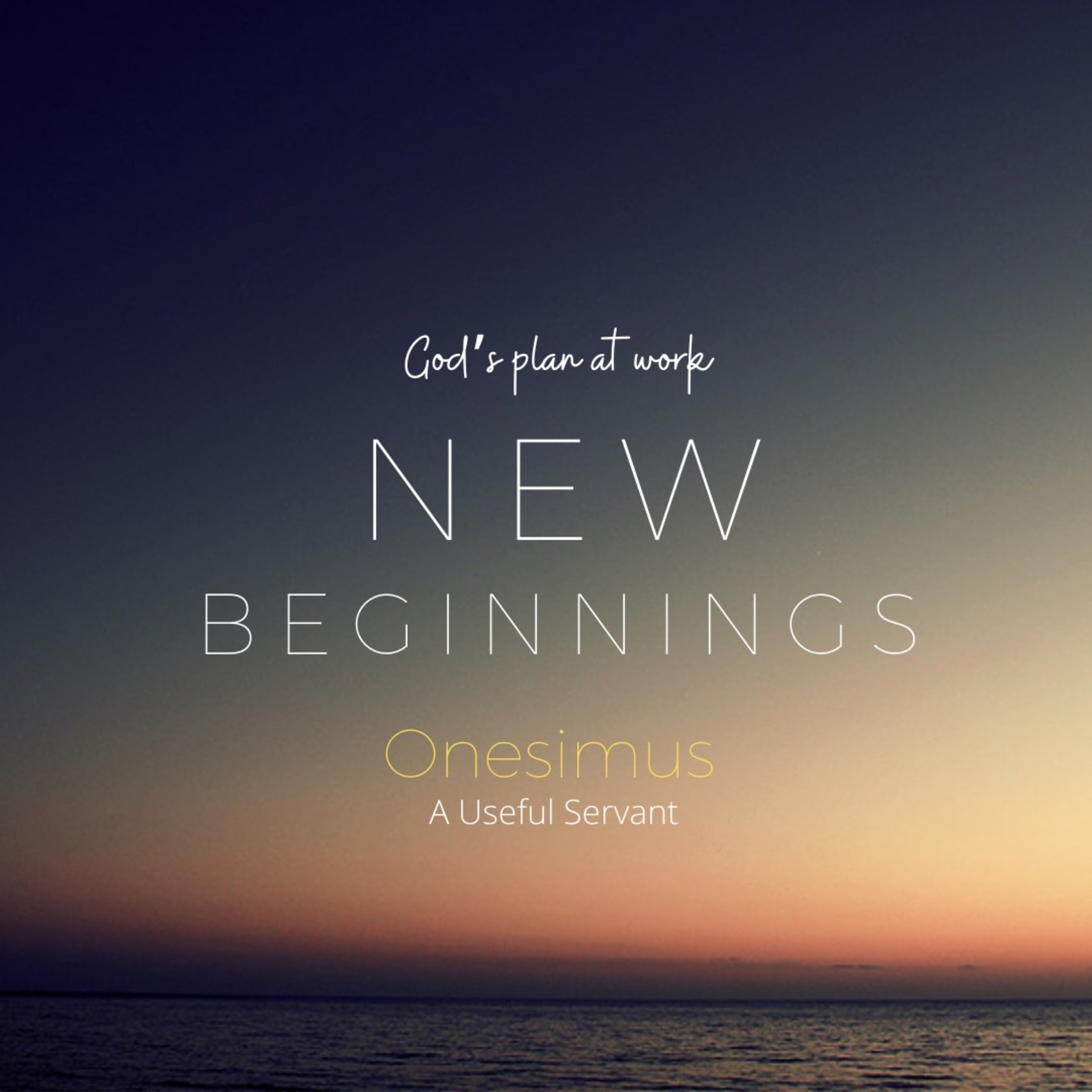New Beginnings: A Useful Servant episode artwork