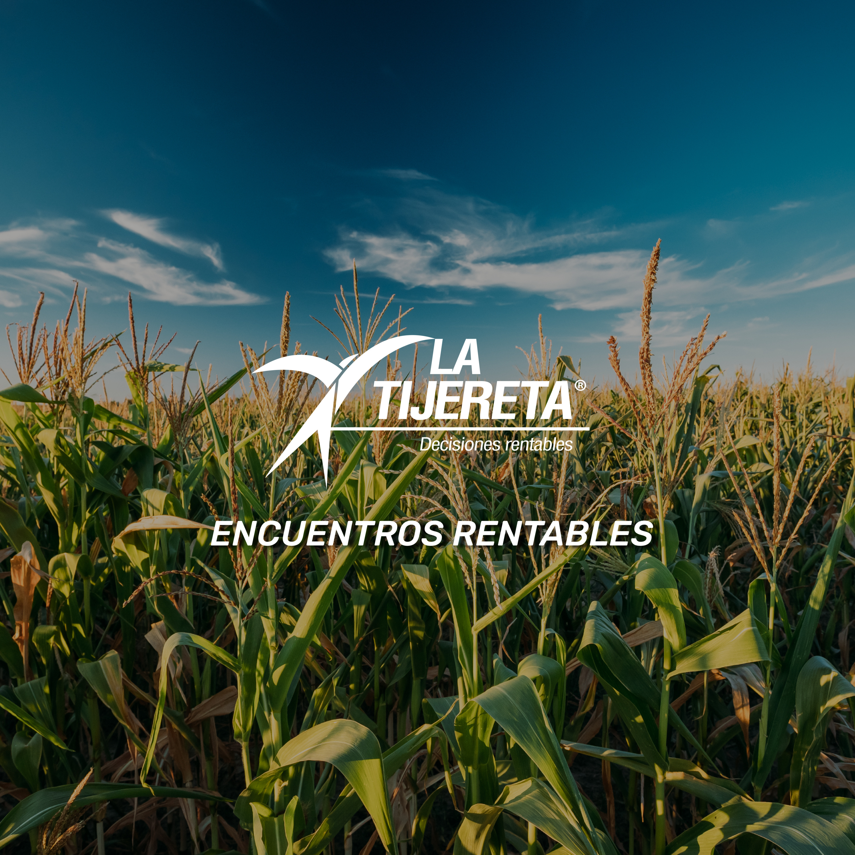 Agro Bayer Argentina