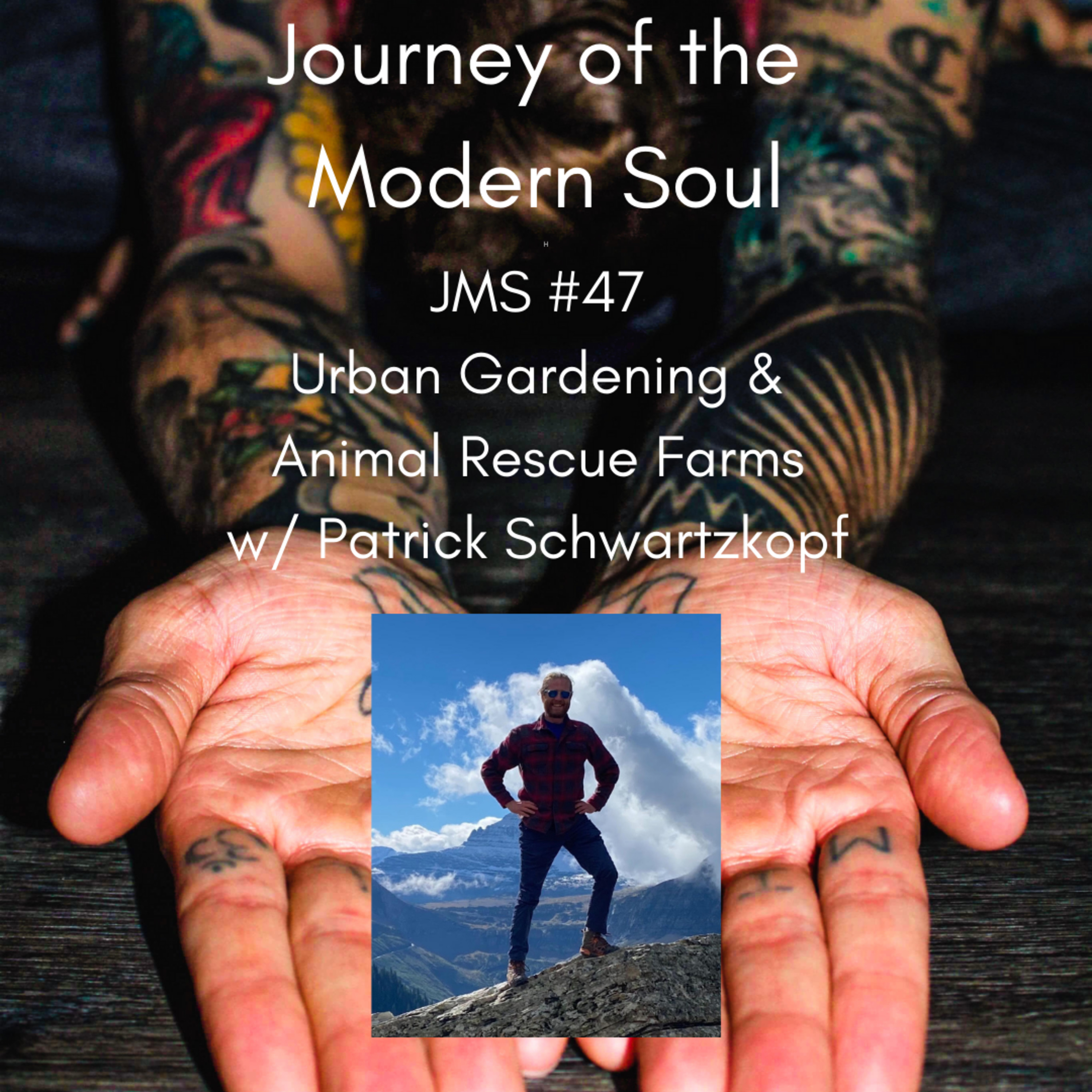 Journey of the Modern Soul
