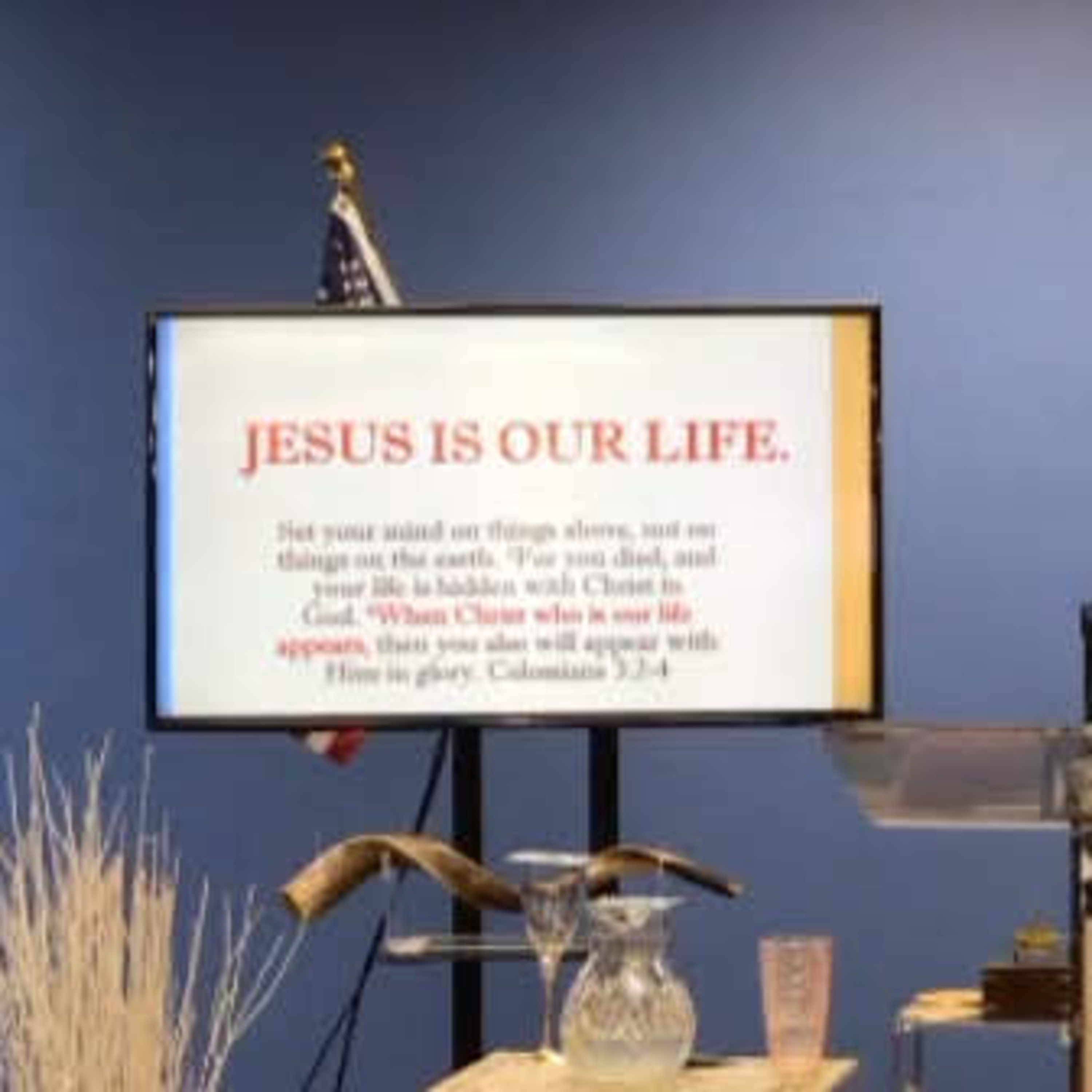The Biblical Solutions For Life Workshop "Jesus is our life" episode artwork