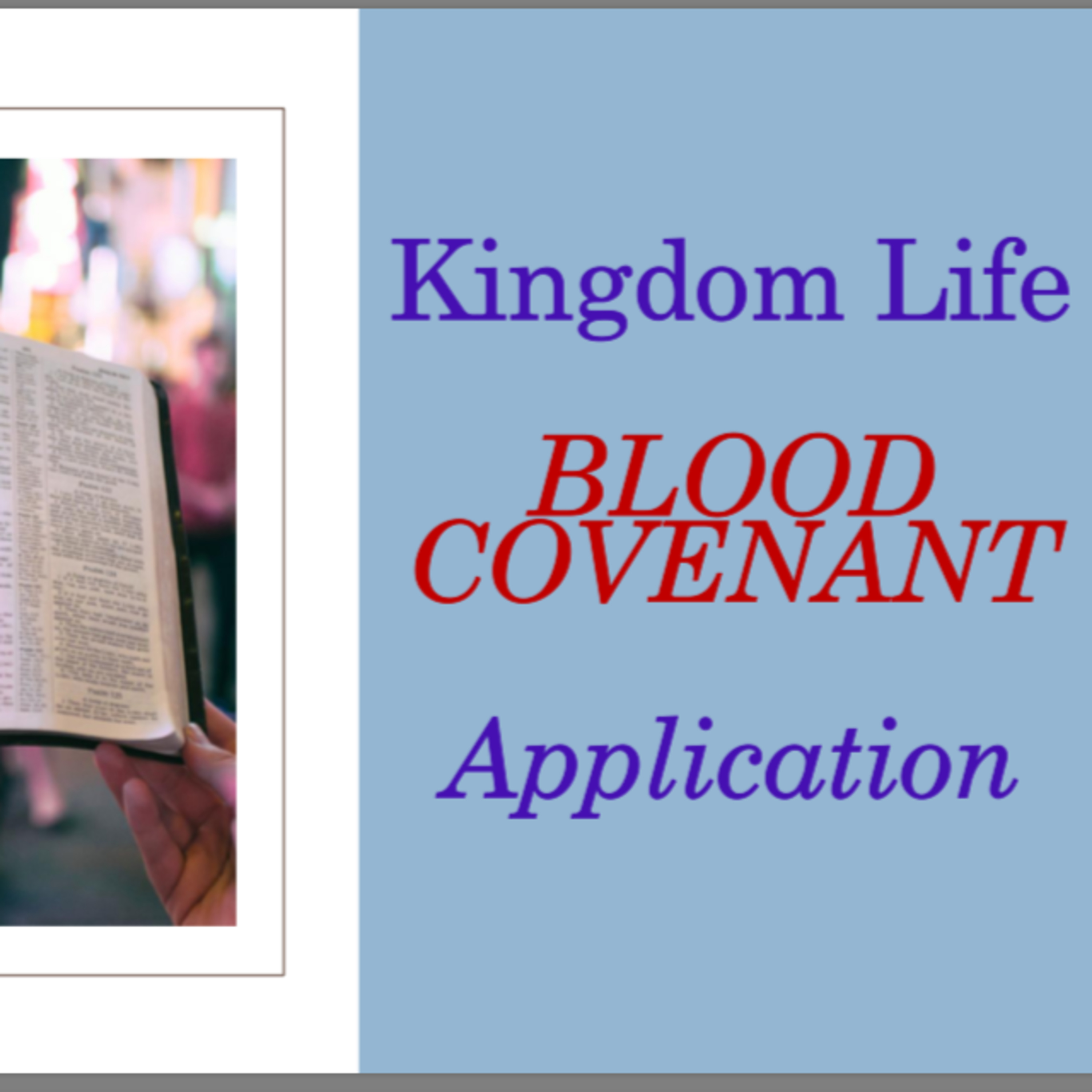 Biblical Solutions For Life Workshop "Kingdom Life - Blood Covenant Application" episode artwork