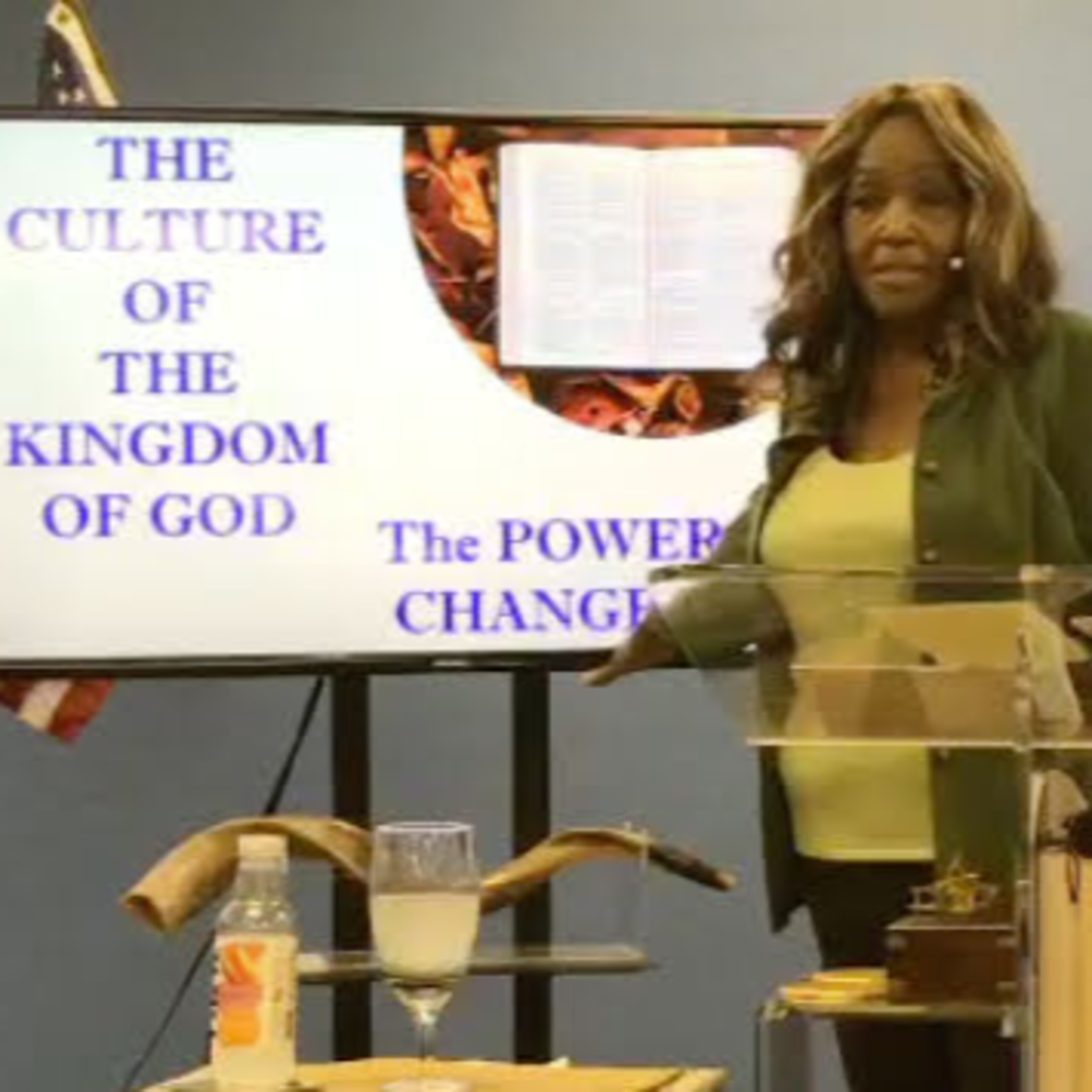 Biblical Solutions For Life. Session 2 - "The submitted life. Totally submitted" episode artwork