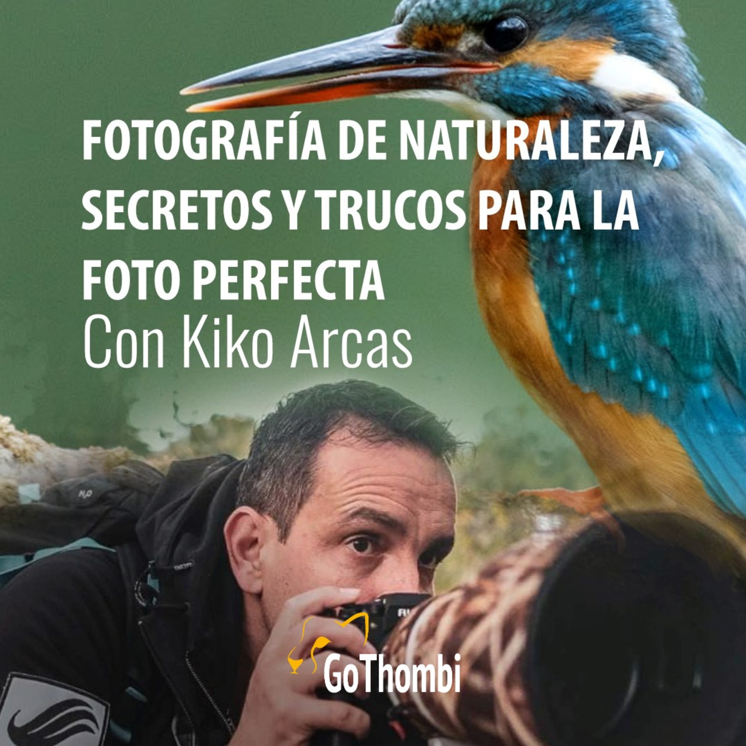 GoThombi - Viajes salvajes