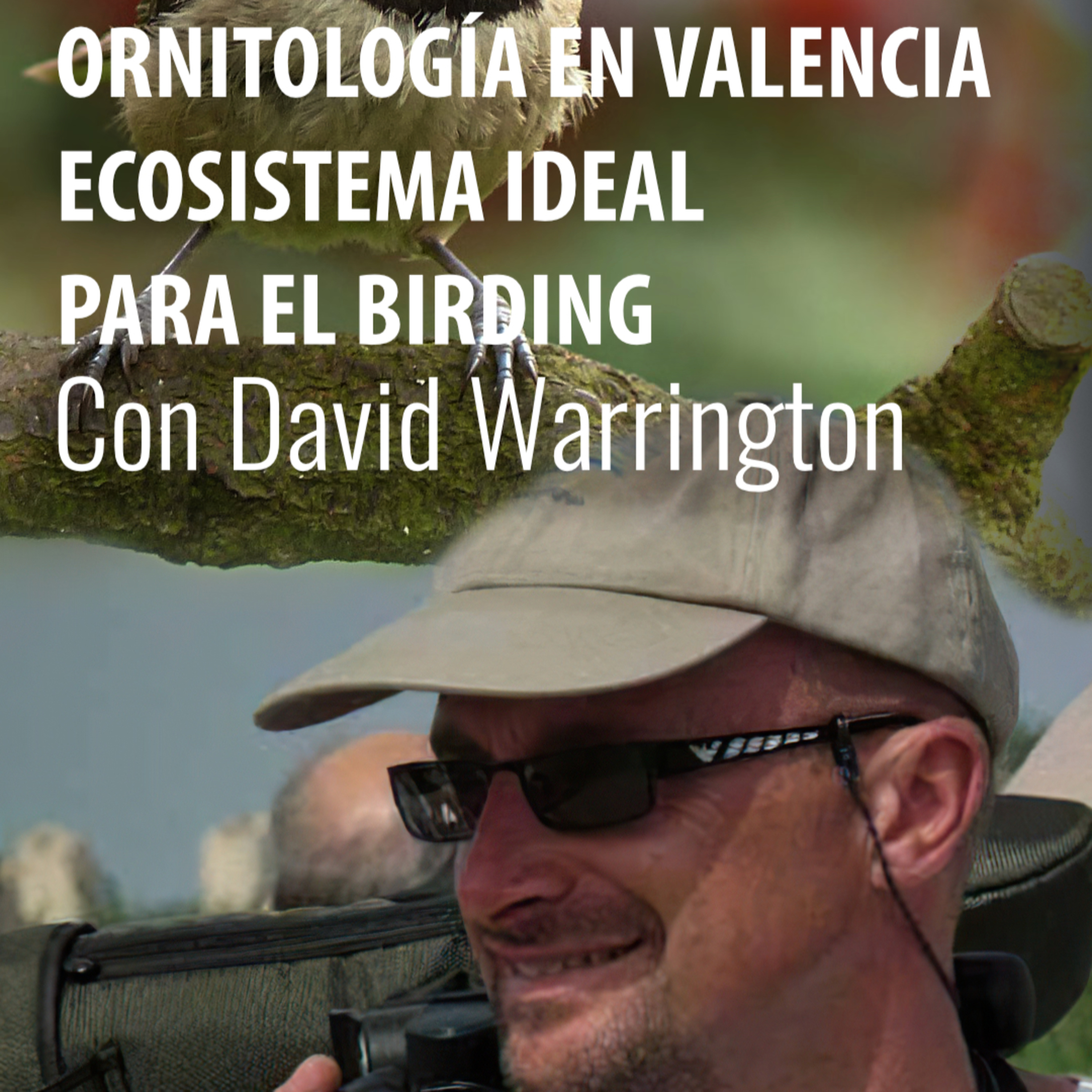 GoThombi - Viajes salvajes