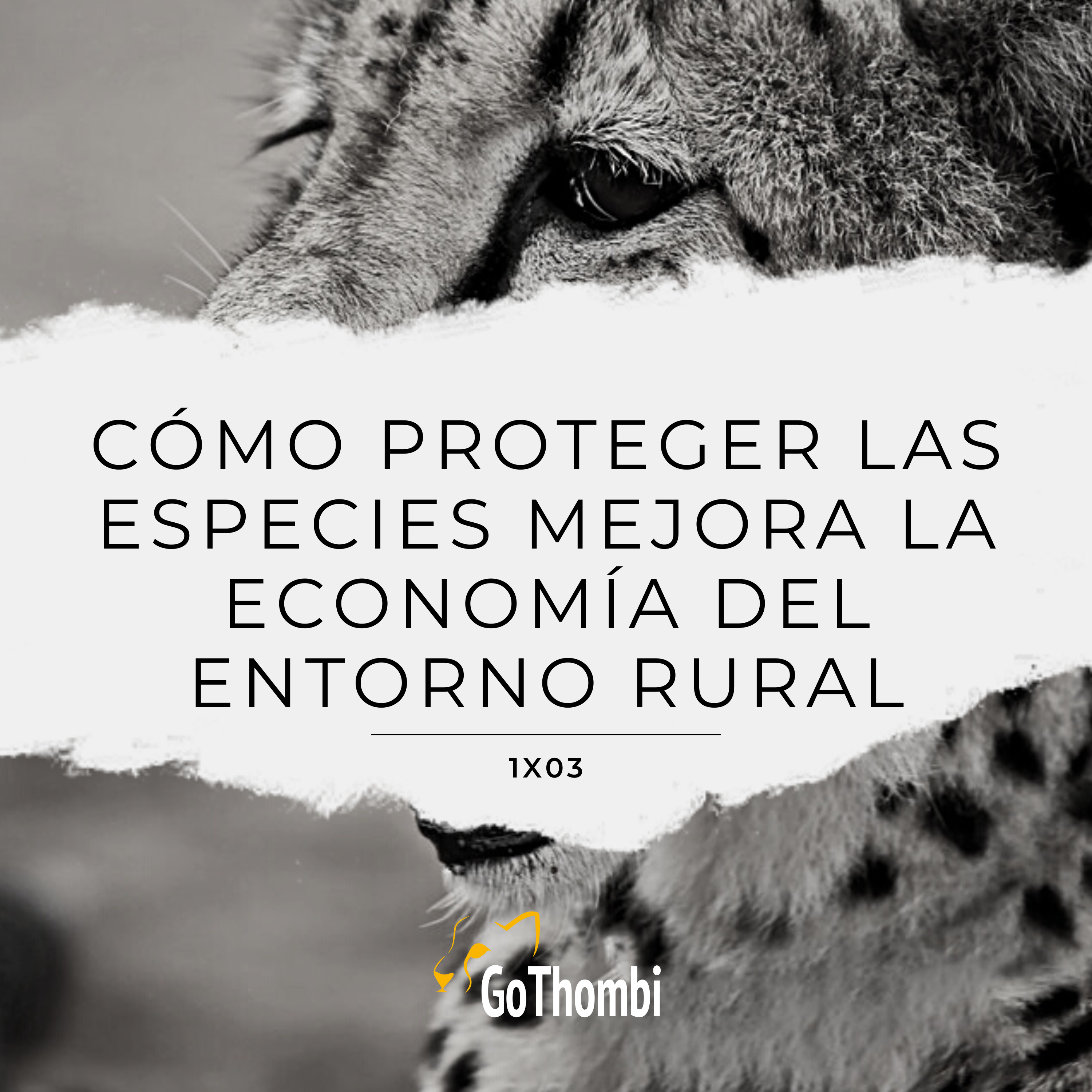 GoThombi - Viajes salvajes